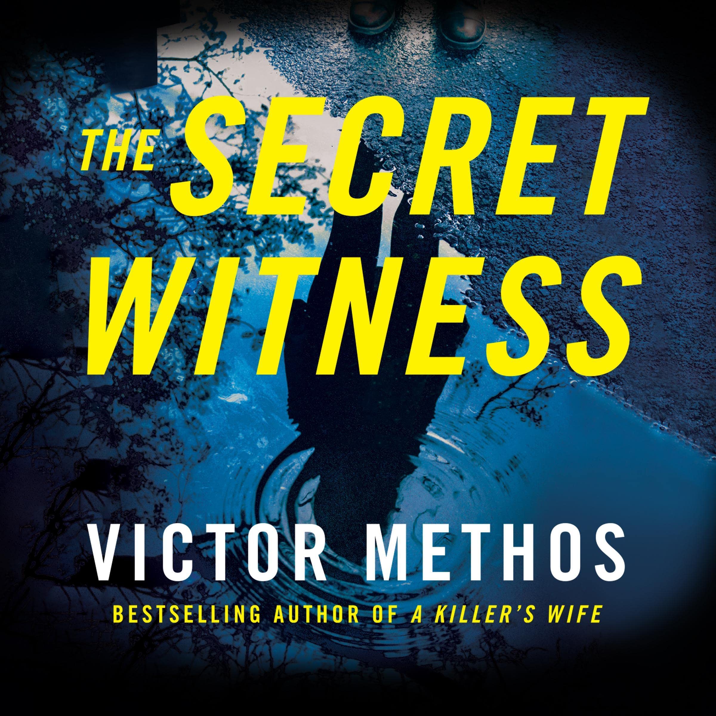 The Secret Witness