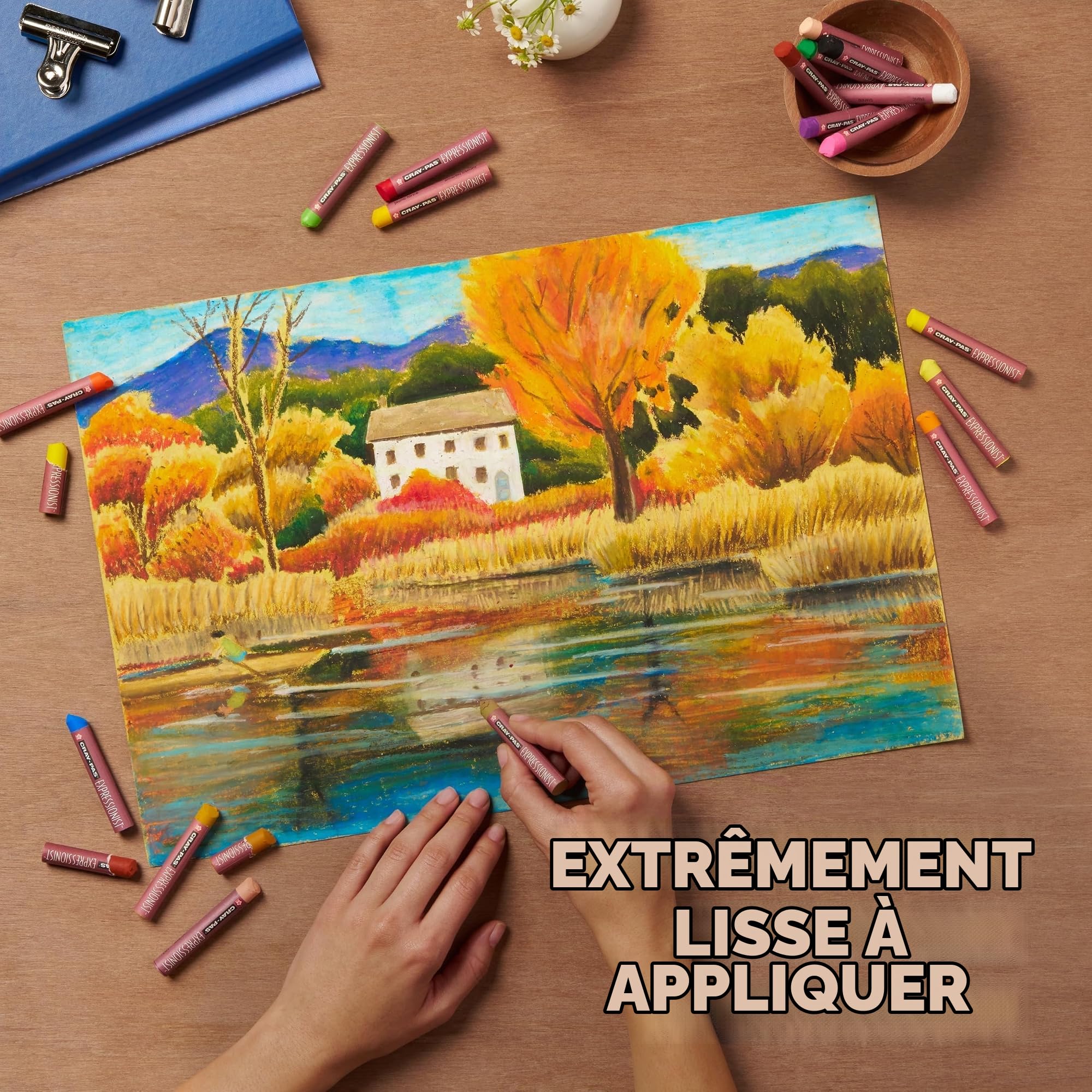 Cray Pas Expressionist Lot de 50 Pastels à huile couleurs Assortis