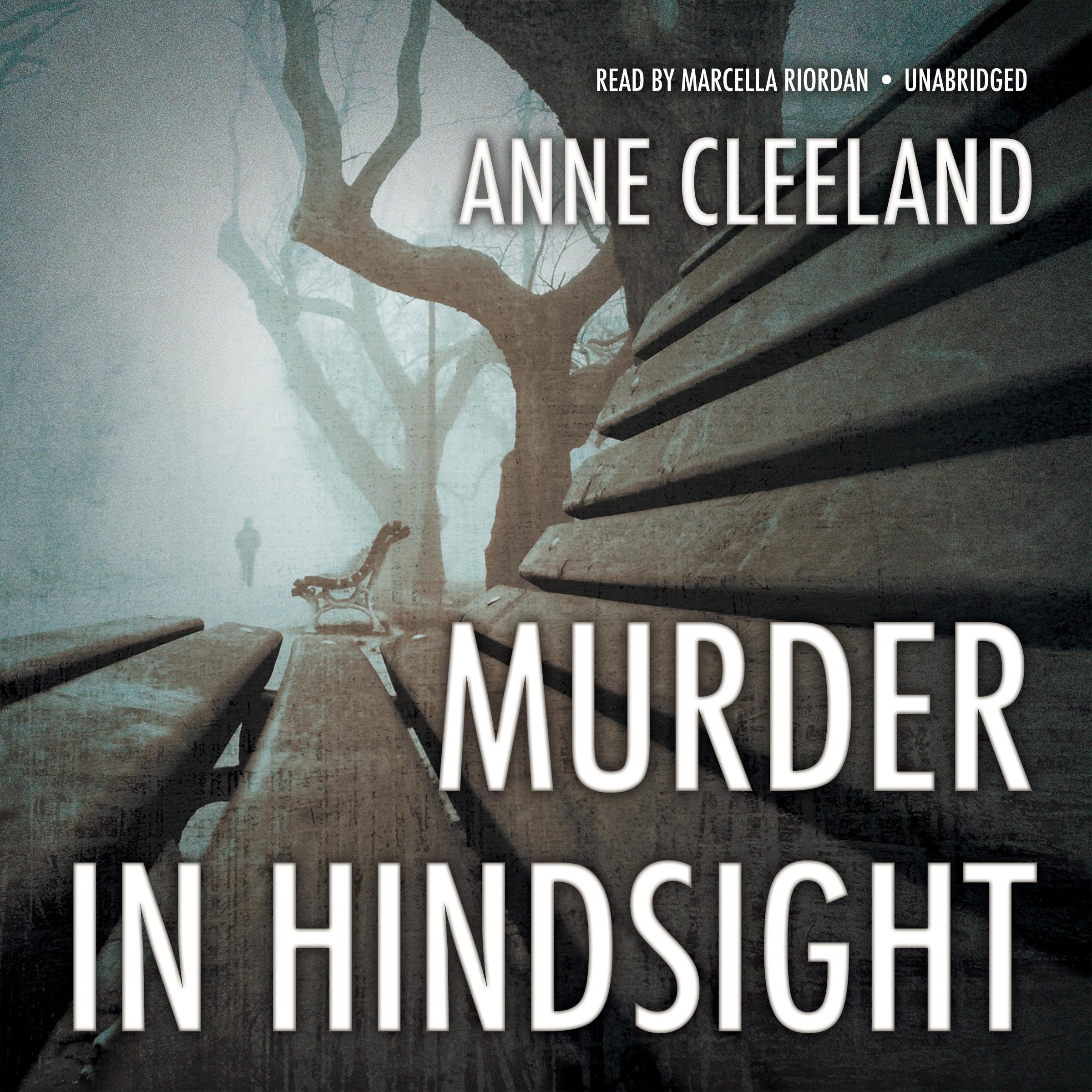 Cover art for Murder in Hindsight