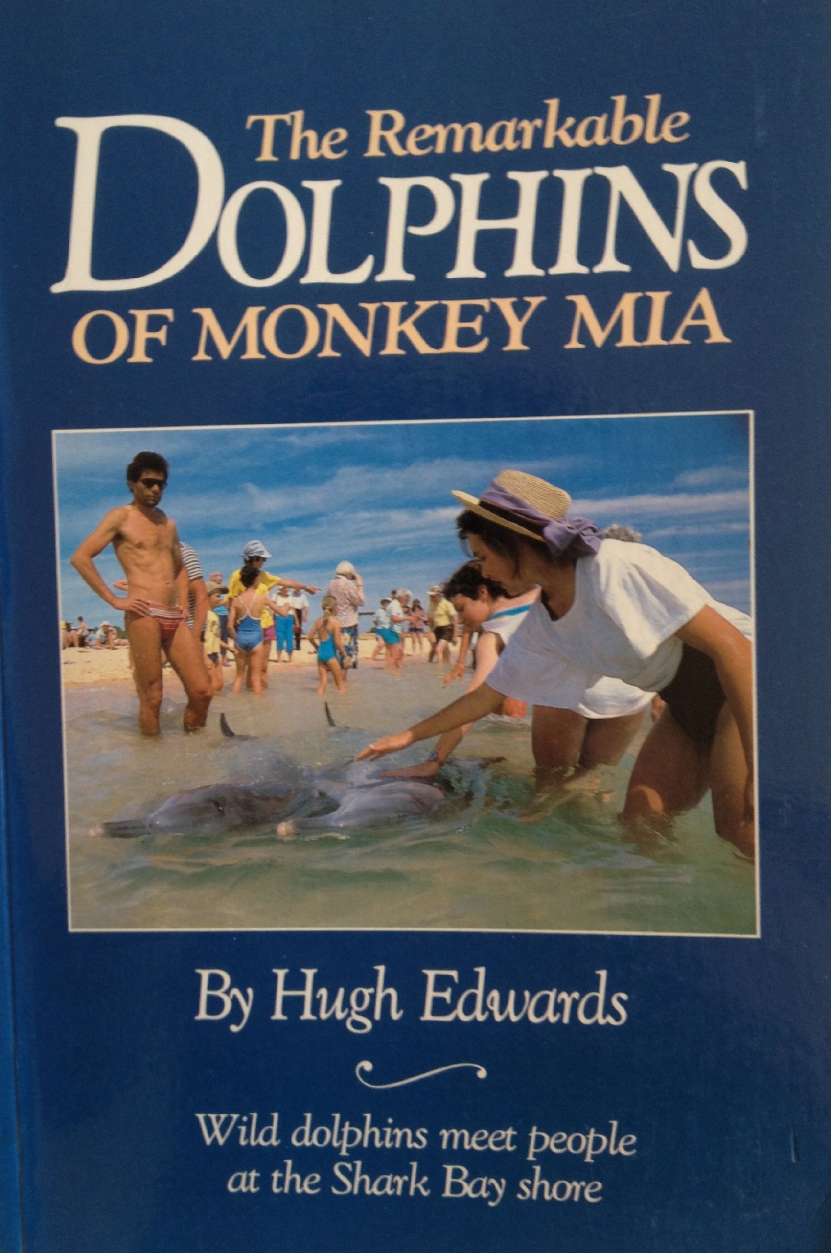The Remarkable Dolphins of Monkey Mia