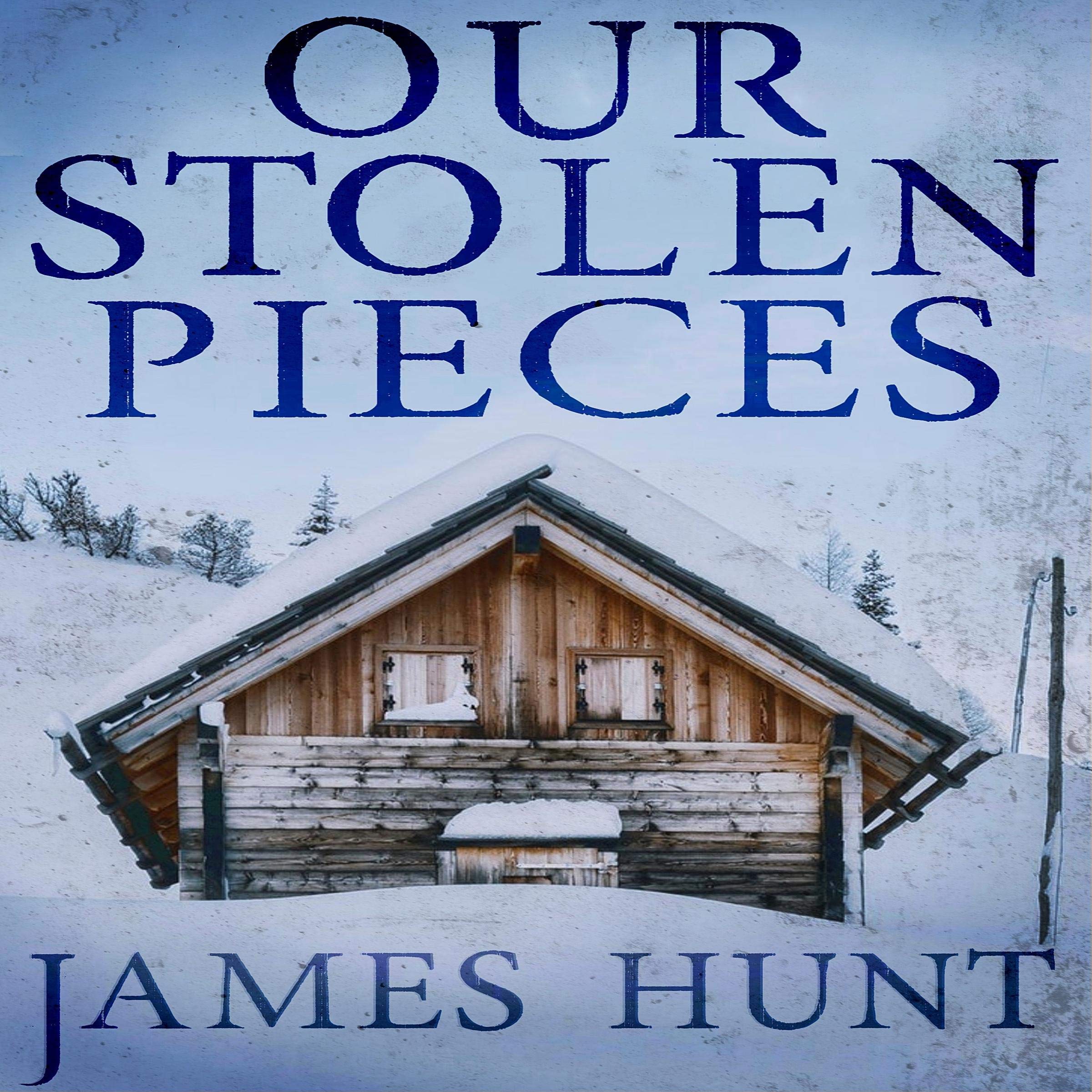 Cover art for Our Stolen Pieces