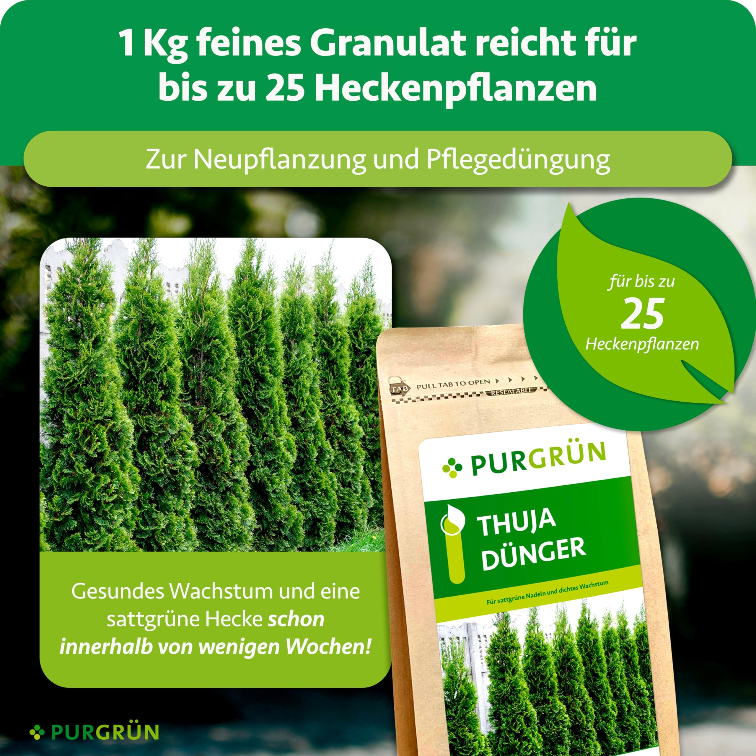 Thuja-Dünger 1 kg – Extra Magnesium schützt vor Nadelverfärbungen – Fördert schnelles Wachstum für eine dichte Hecke – Tonmineralien für einen gesunden Boden – Granulat für ca. 25 Pflanzen