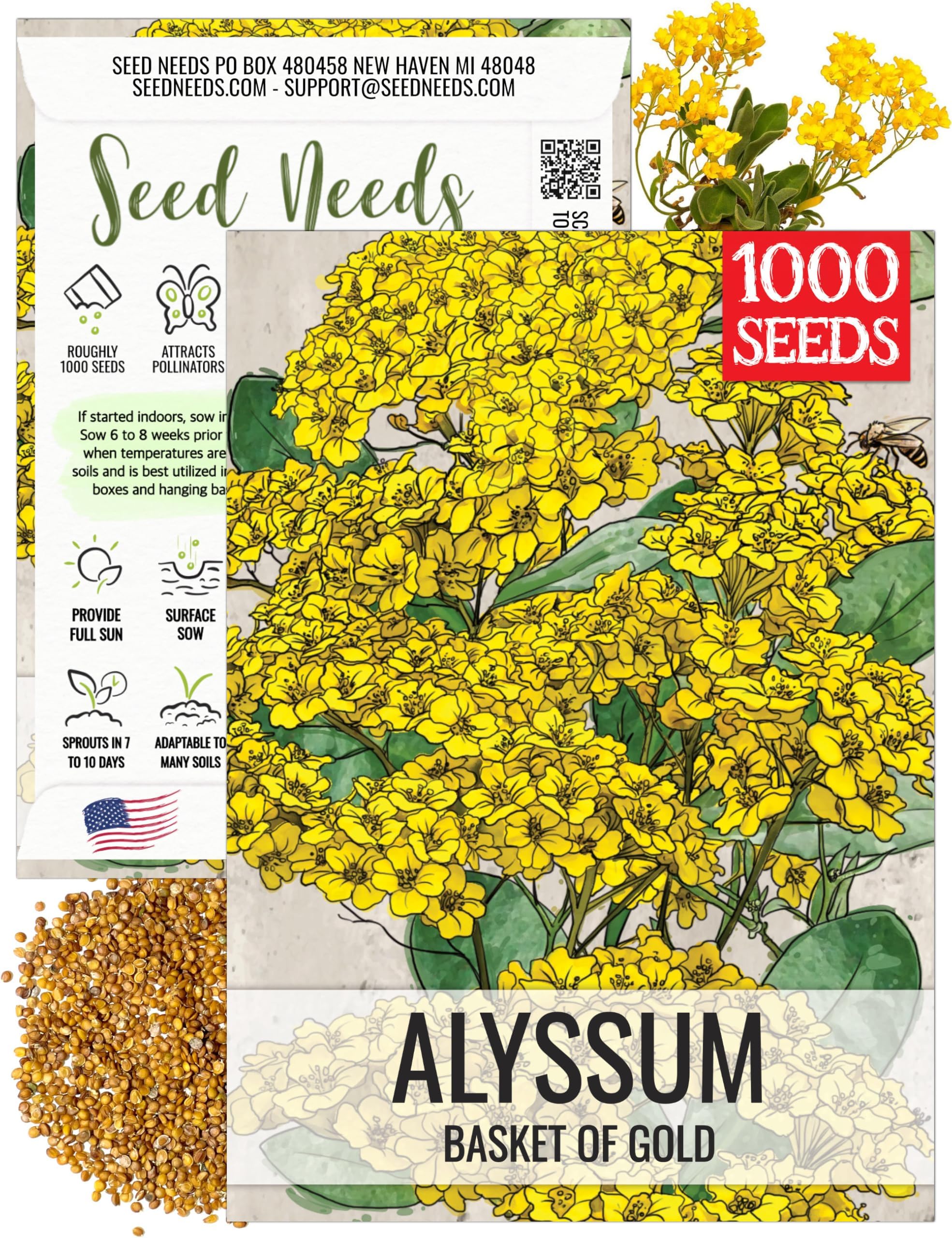 Seed Needs Alyssum Seeds for Planting Basket of Gold - Heirloom Annual Flowers to Attract Pollinators Butterflies & Bees to Outdoor Rock Gardens, Pots, Containers & Window Boxes (1 Pack)