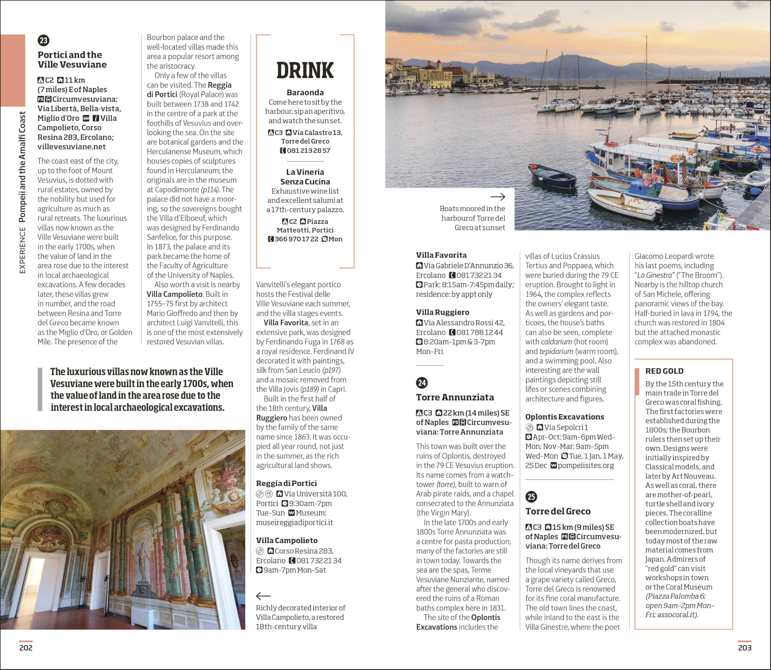 DK Naples and the Amalfi Coast: Must-See Sights. Culture & History. Detailed Maps & Tours. Covers Naples, Pompeii, & more