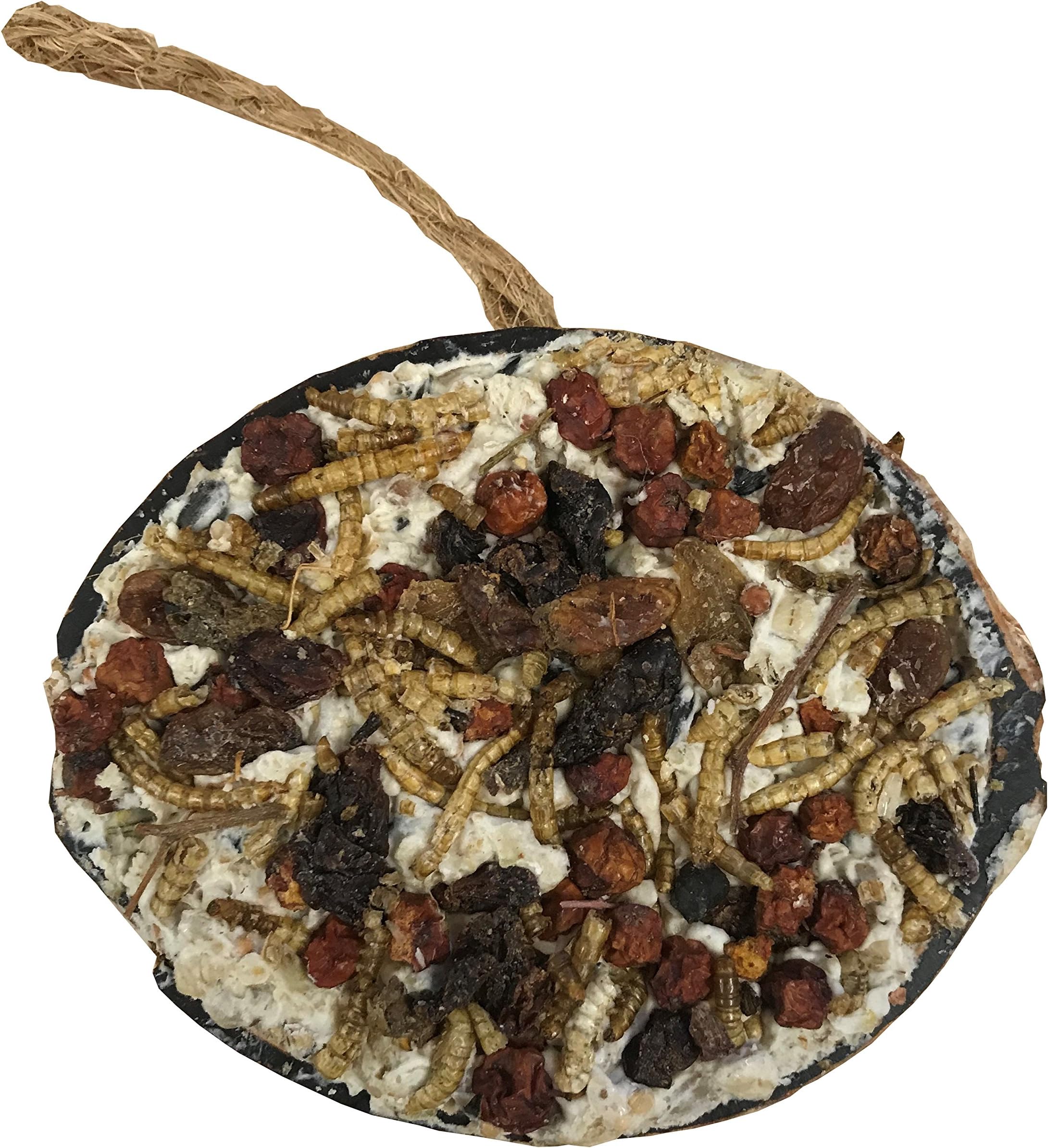 Suet Fat Half Coconuts for Wild Birds (Premium Luxury Granola Recipe) - Pack of 6 - The Wild Bird Care Company