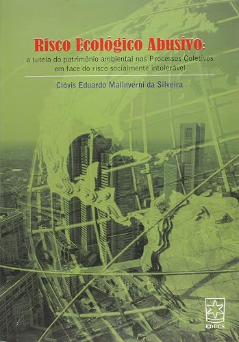 Risco Ecológico Abusivo: a Tutela do Patrimônio Ambiental nos Processos Coletivos em Face do Risco Socialmente Intolerável