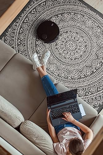 Vista 221 de Adiva Rugs - Alfombra para interior y exterior, tapete fácil de limpiar, resistente a la intemperie y las manchas, para comedor, patio, terraza