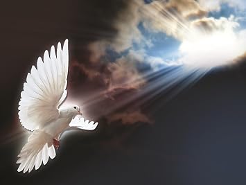 White Dove 3D Poster Wall Art Decor Print Unframed | 12x16 inches | Lenticular Posters & Pictures | Photo Memorabilia Gifts for Guys & Girls Bedroom