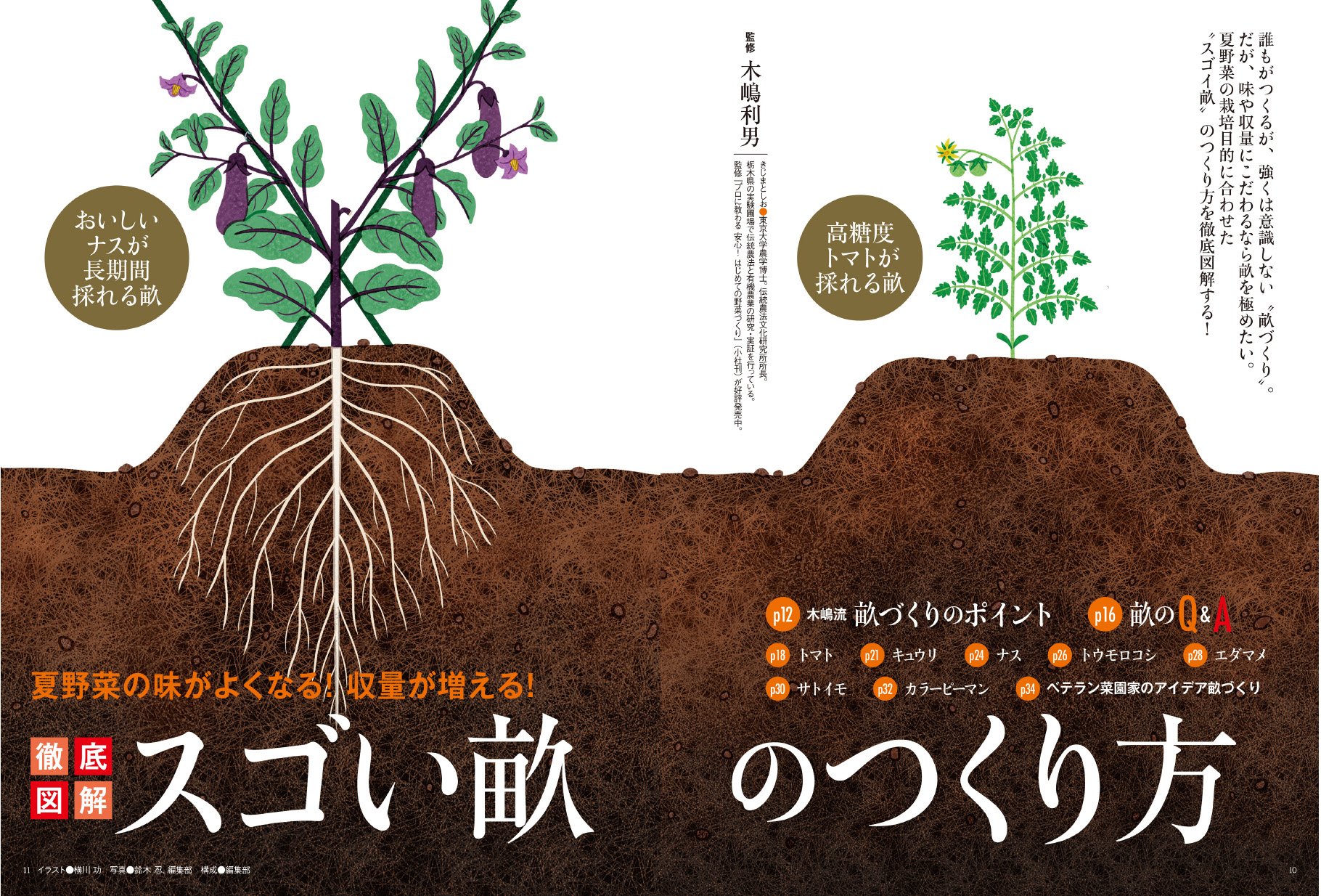 野菜だより 17年 03 月号 雑誌 本 通販 Amazon