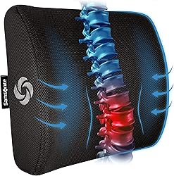 SAMSONITE Lumbar Support Pillow