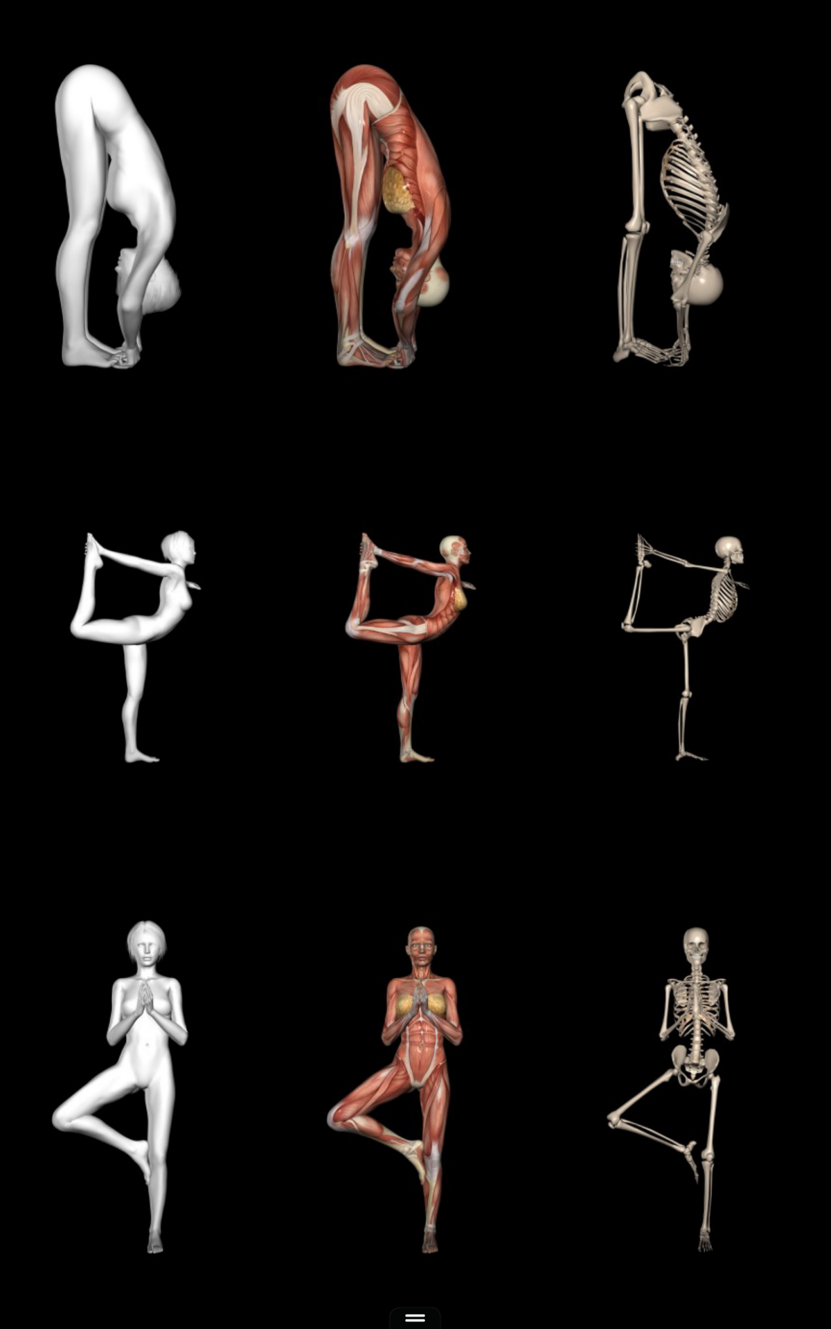 360° Anatomy for Artists: Female Yoga - App on Amazon Appstore