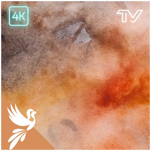 Tranquiltone: Gelassener brauner Rauschen Haven - Fokus, Konzentration, Studium und Komfort mit beruhigendem geglättetem braunem Rauschen - ideal für ADHS und Tinnitus Relief - TV & Tablet App für ult