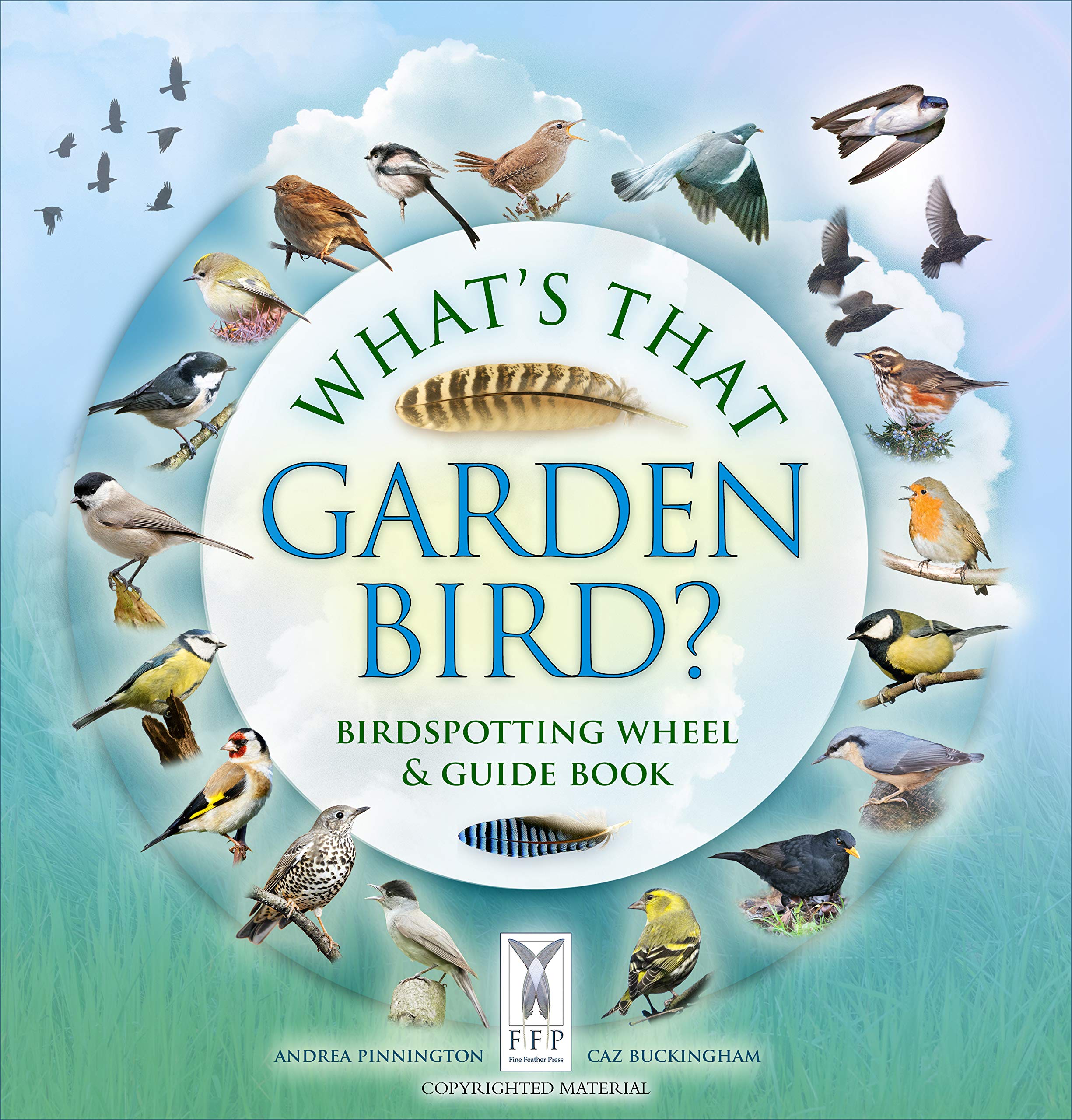 What's That Garden Bird?: Birdspotting Wheel and Guide Book (Birdspotting Wheel