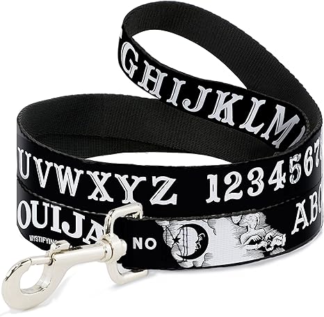 off white dog leash amazon