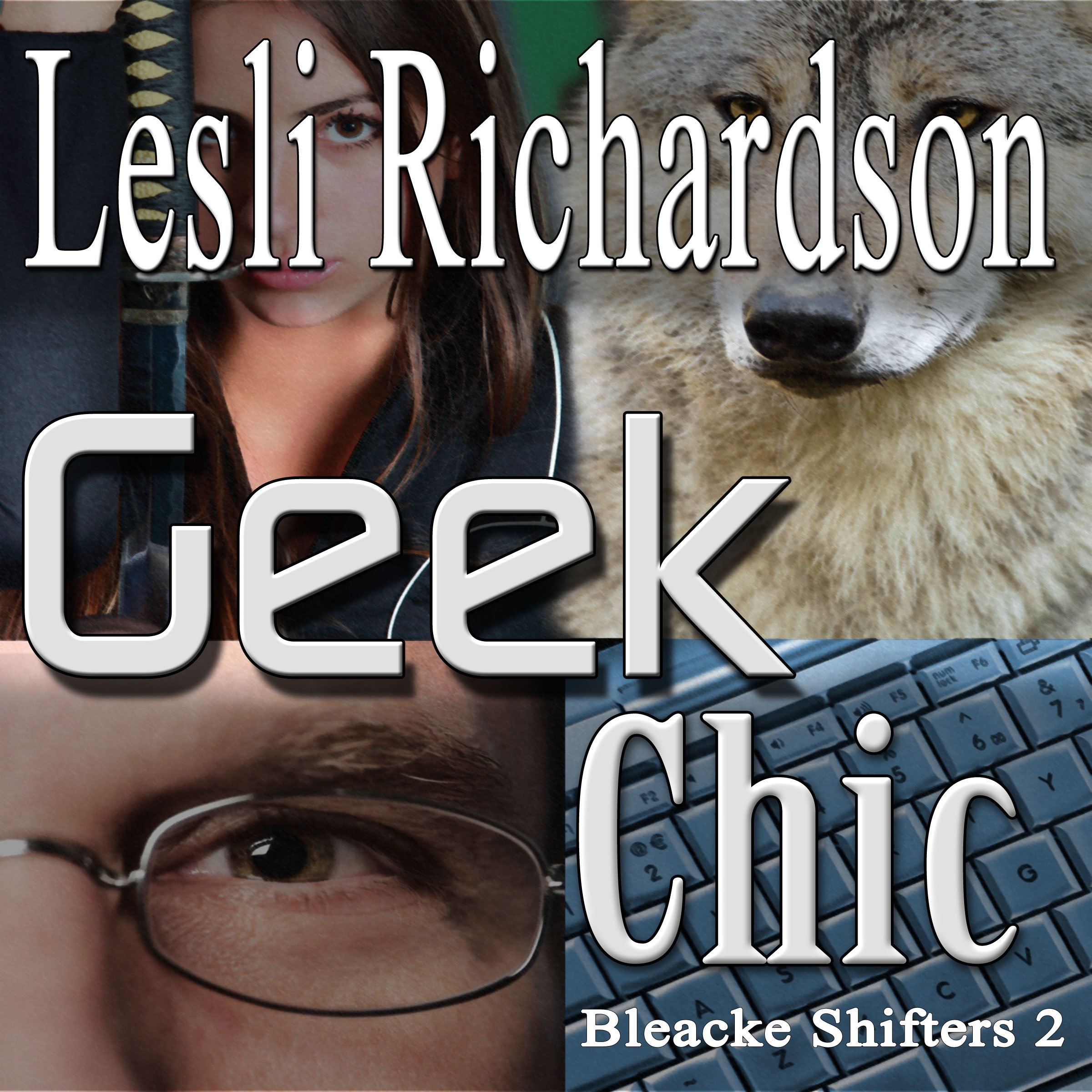 Cover art for Geek Chic