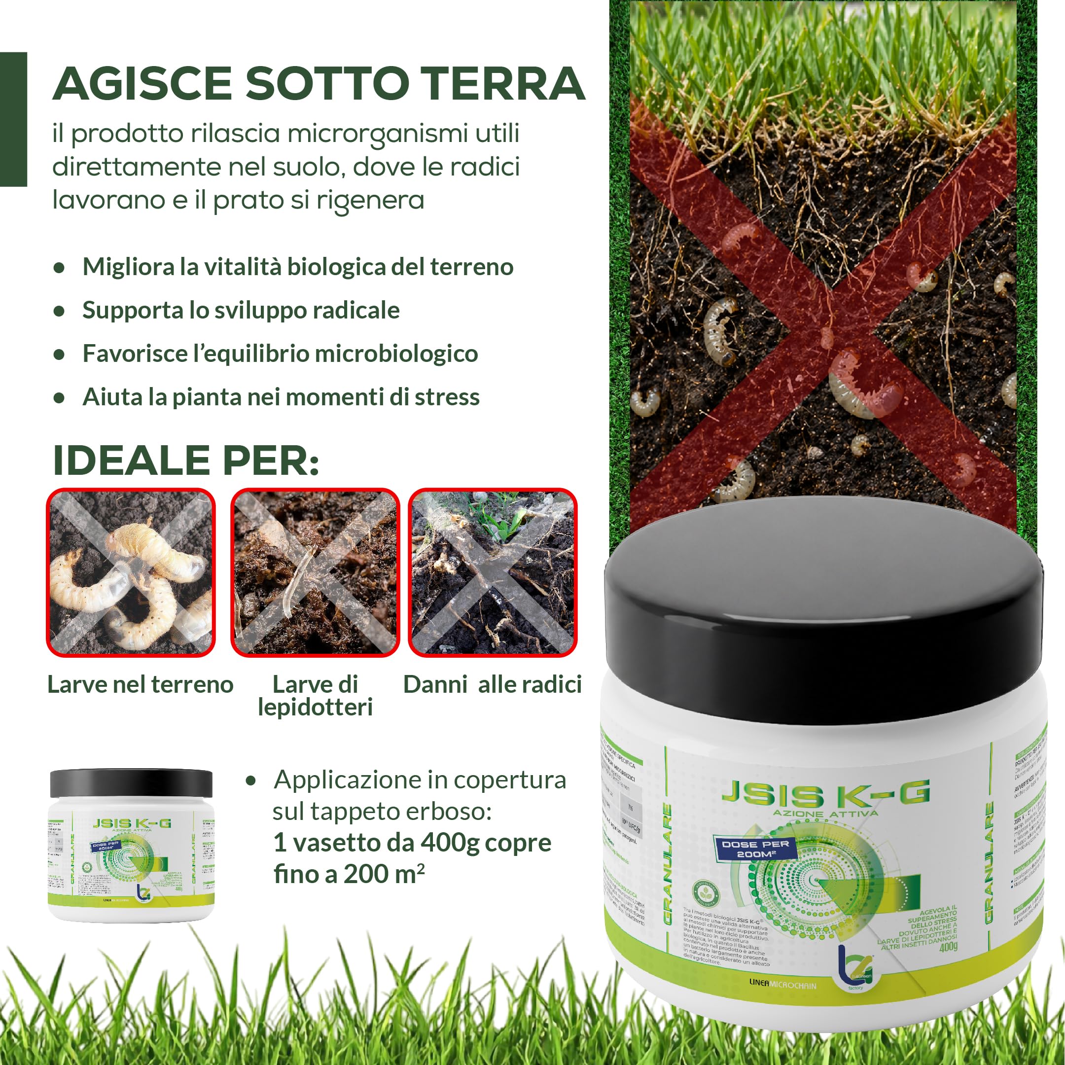 B4Green JSIS K-G Granulare 400g per 200m² – Bacillus Thuringiensis Kurstaki Israelensis Larvicida Biologico per Prato, Larve di Lepidotteri e Bruchi, Ammendante per Agricoltura Biologica