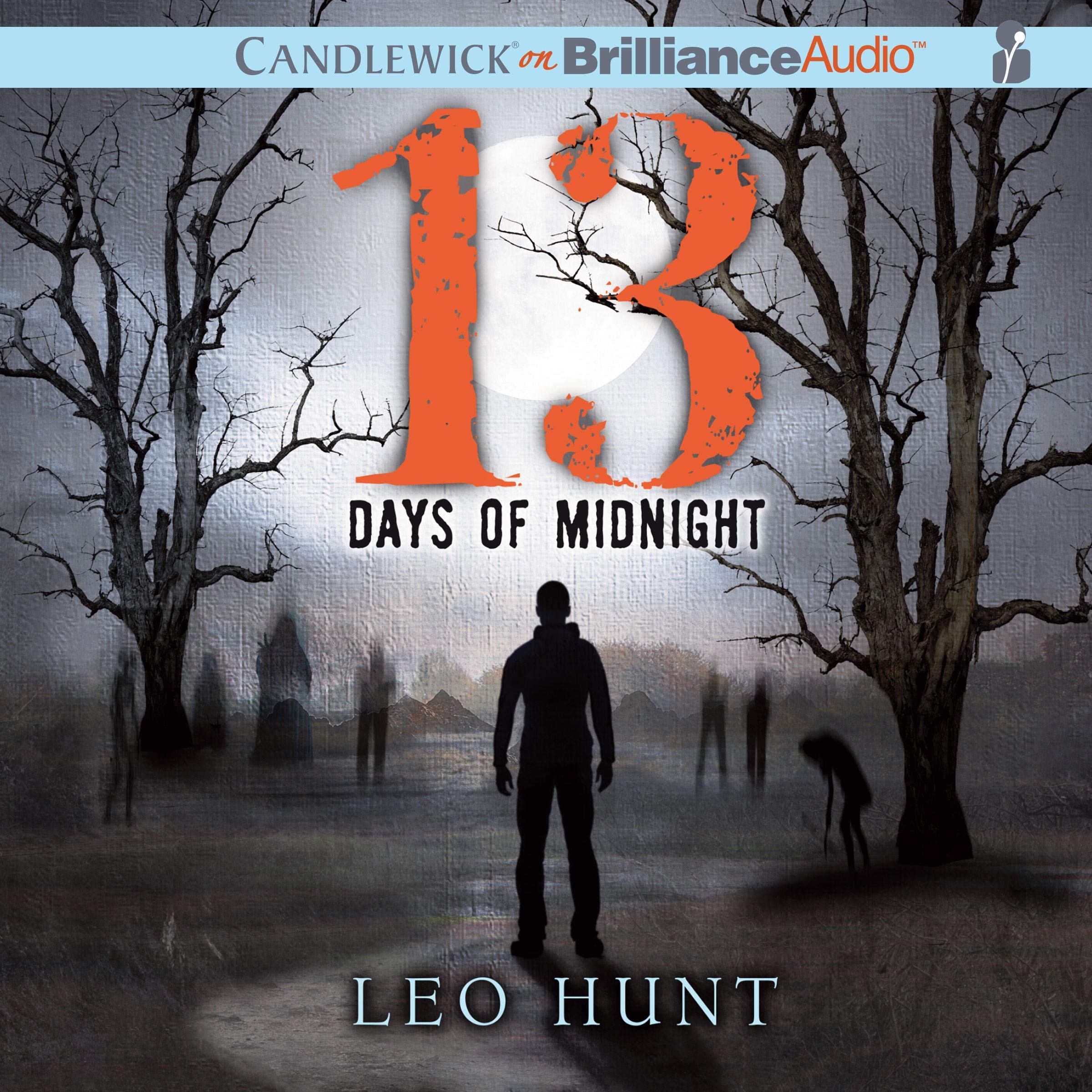 Cover art for Thirteen Days of Midnight