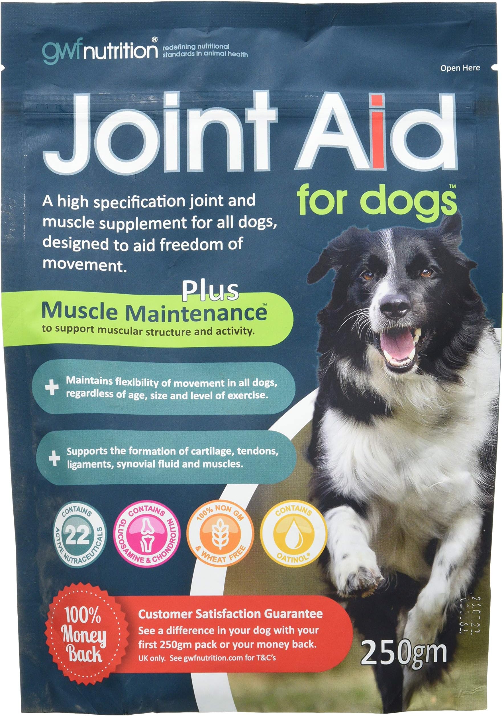 GWF Nutrition Joint Aid For Dogs - Essential Hip & Joint Supplement with Muscle Maintenance for Dogs of All Ages - 250 gm
