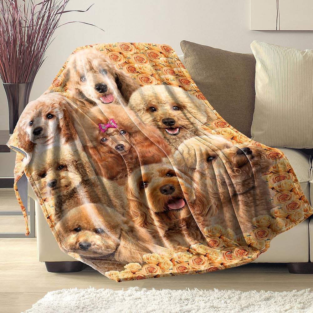 ストック ウッドストックから Ninja ZX-4RSE／ZX-4RR 用のバックステップ