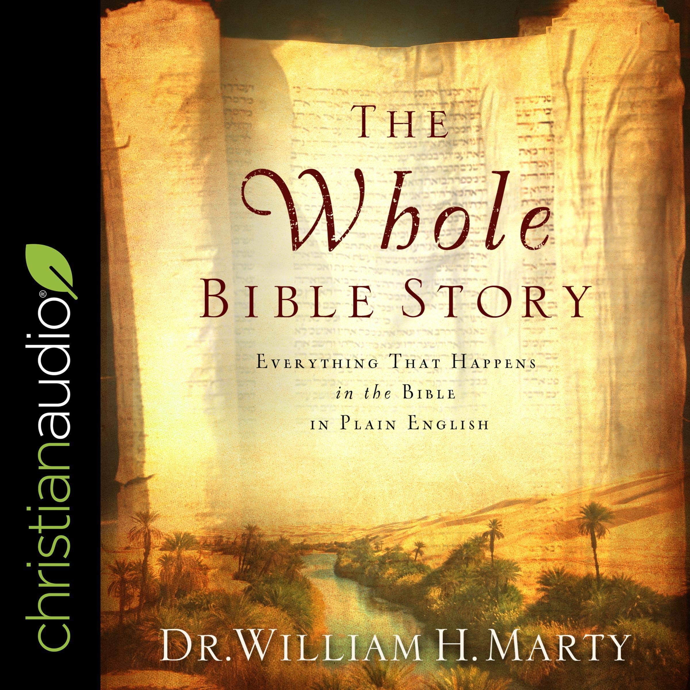 Cover art for The Whole Bible Story