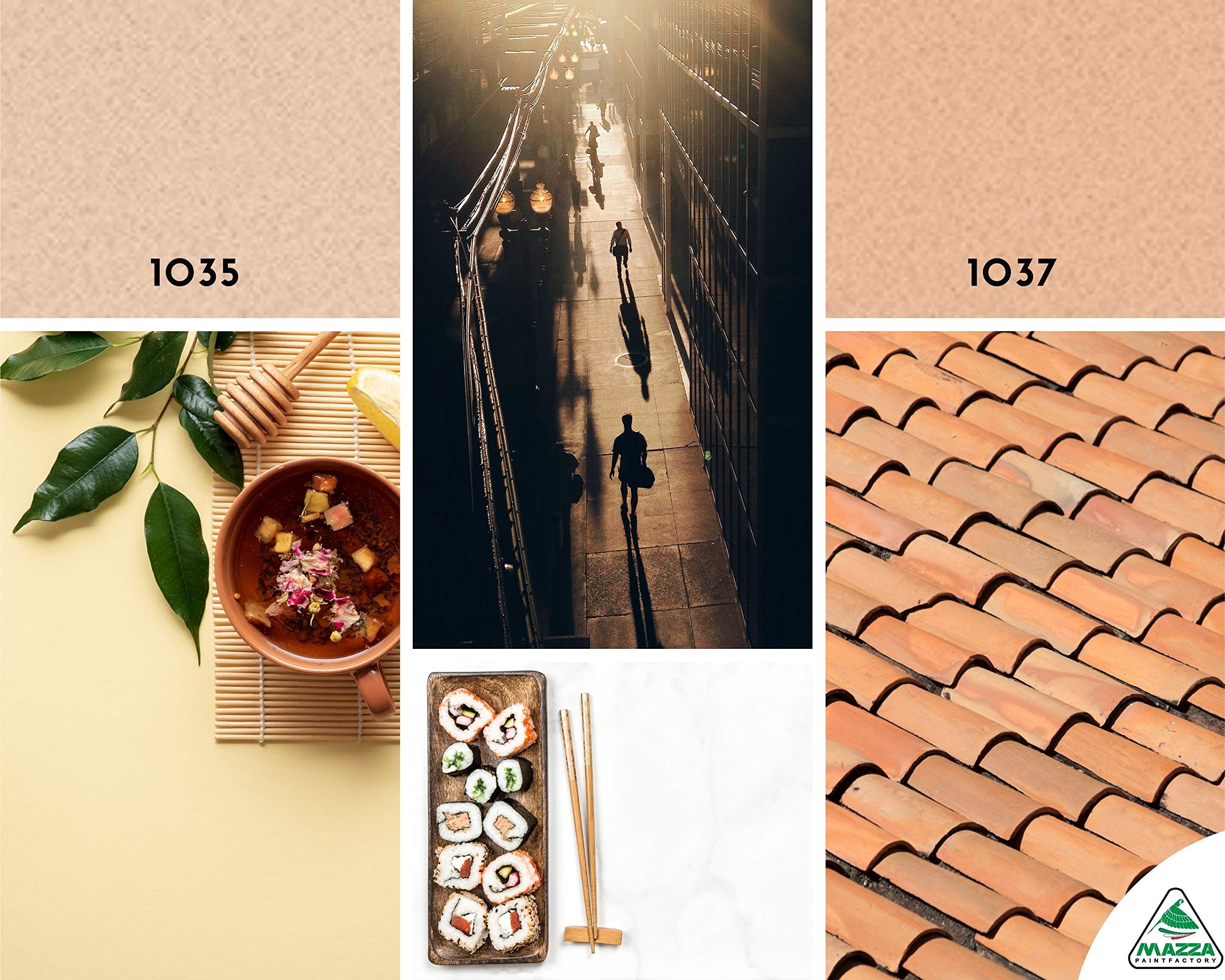 MAZZA Pittura Al Quarzo Per Muri Interni Ed Esterni Lt 14 Ad Alto Potere Coprente Colorificio (Terracotta1 Mz1035)
