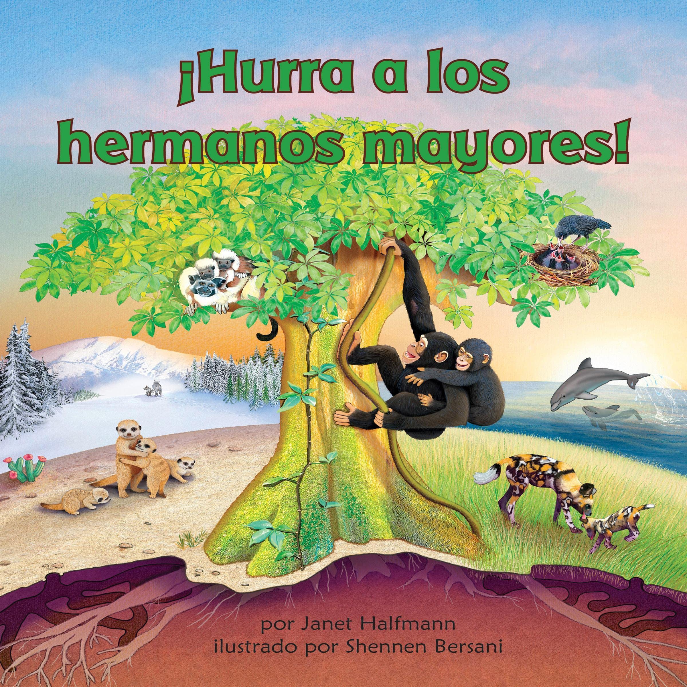 ¡Hurra a los hermanos mayores! [Yay for Big Brothers!]