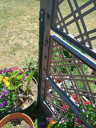 Review Image by ShellyBird Garden Homestead