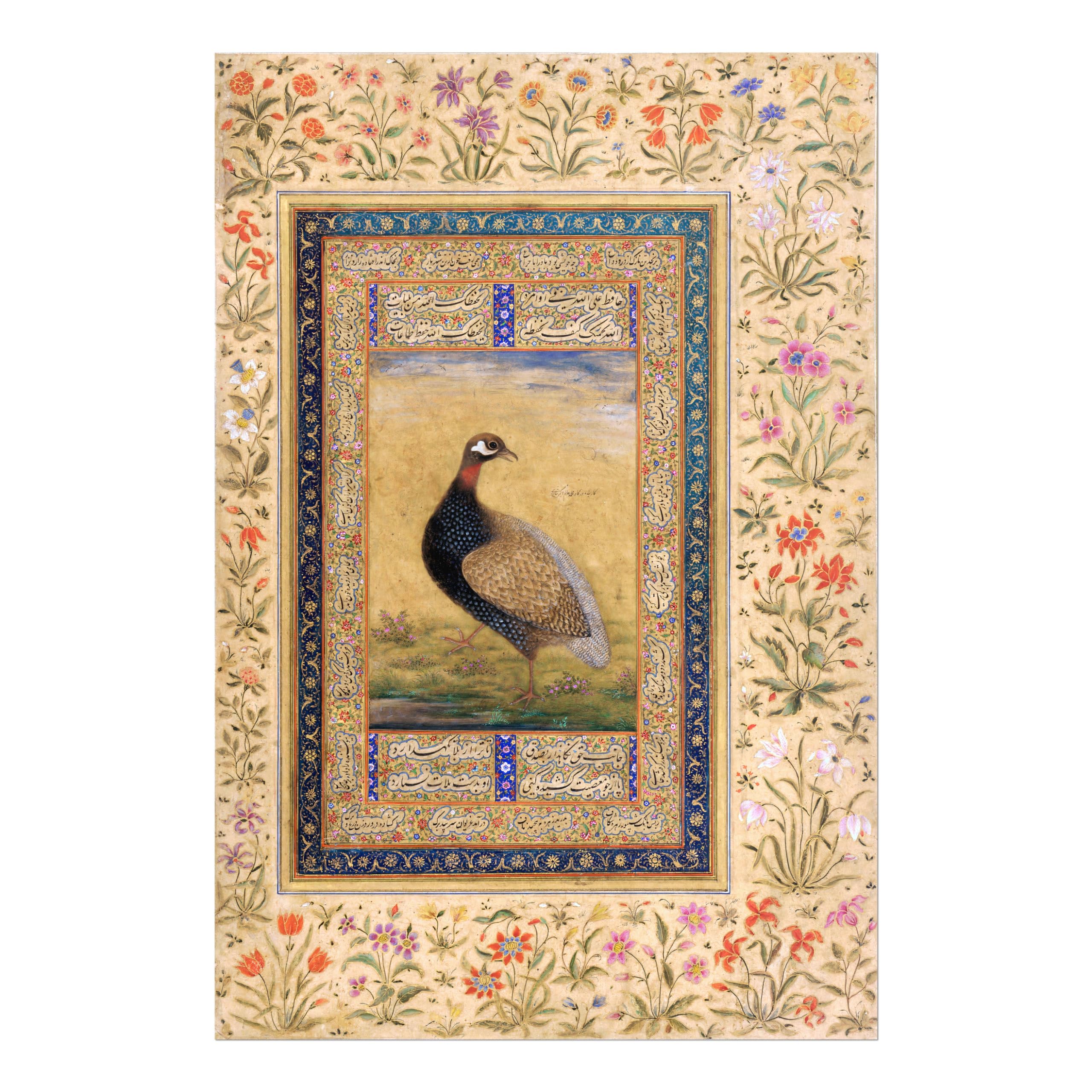 Pathos Studio Black Francolin (Traditional Persian Miniature Art) (Giclée Art Print) 5" x 7"