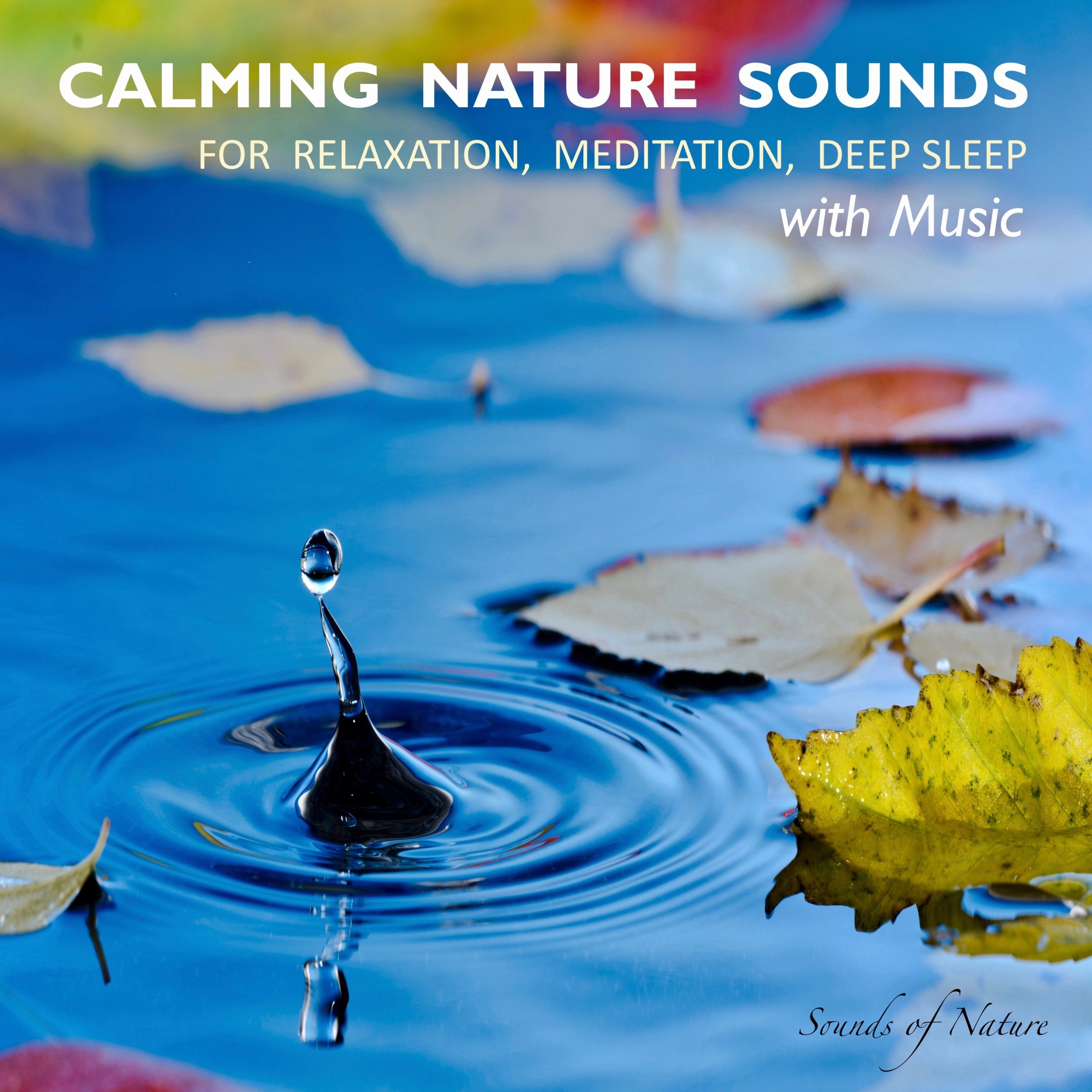 Cover art for Calming Nature Sounds With Music