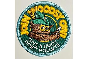 Woodsy Owl "Give A Hoot Don't Pollute" Iron On Patch 1973 Slogan