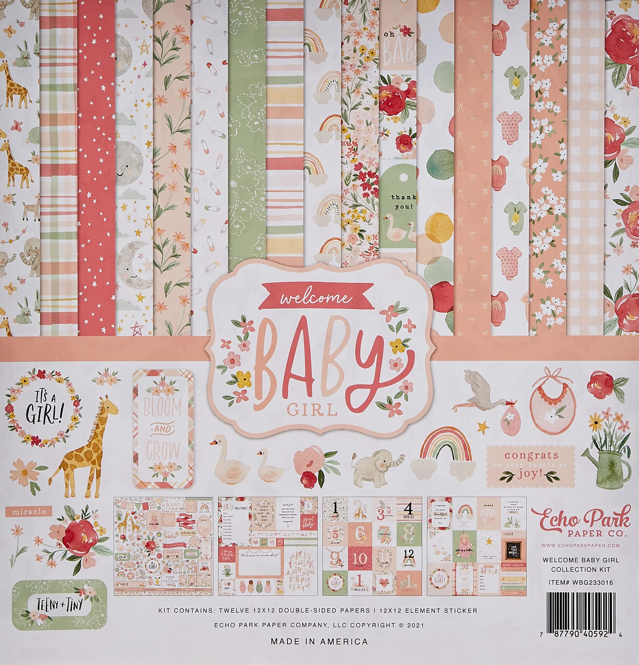 Company Welcome Baby Girl Collection Kit Paper, 12-x-12-Inch
