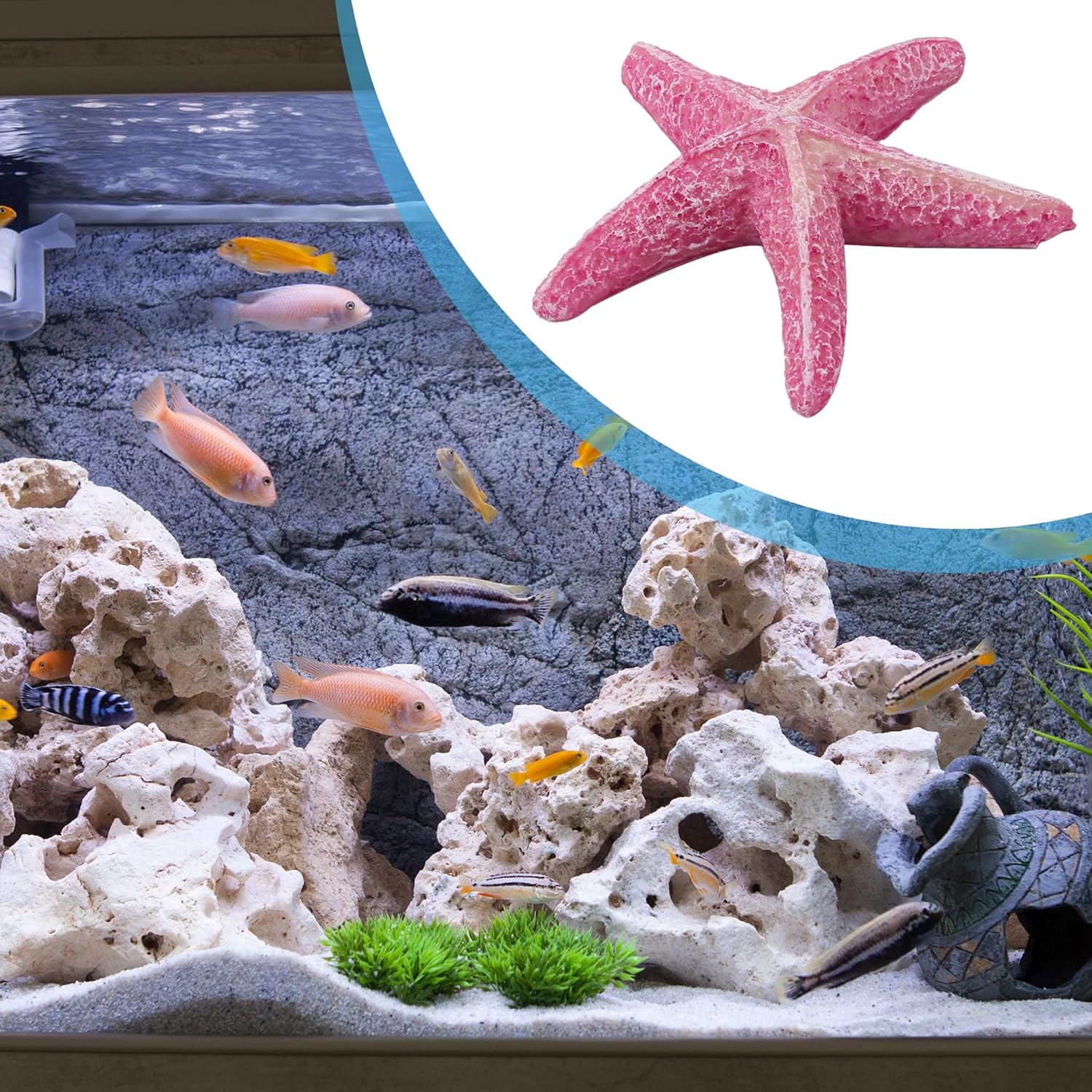 Sea Star Shape Ornament, Polyresin Artificial Emulational Sea Star Decoration for Aquarium Fish Tank, 3.5 x 3.5 x 0.79inch (Pink)