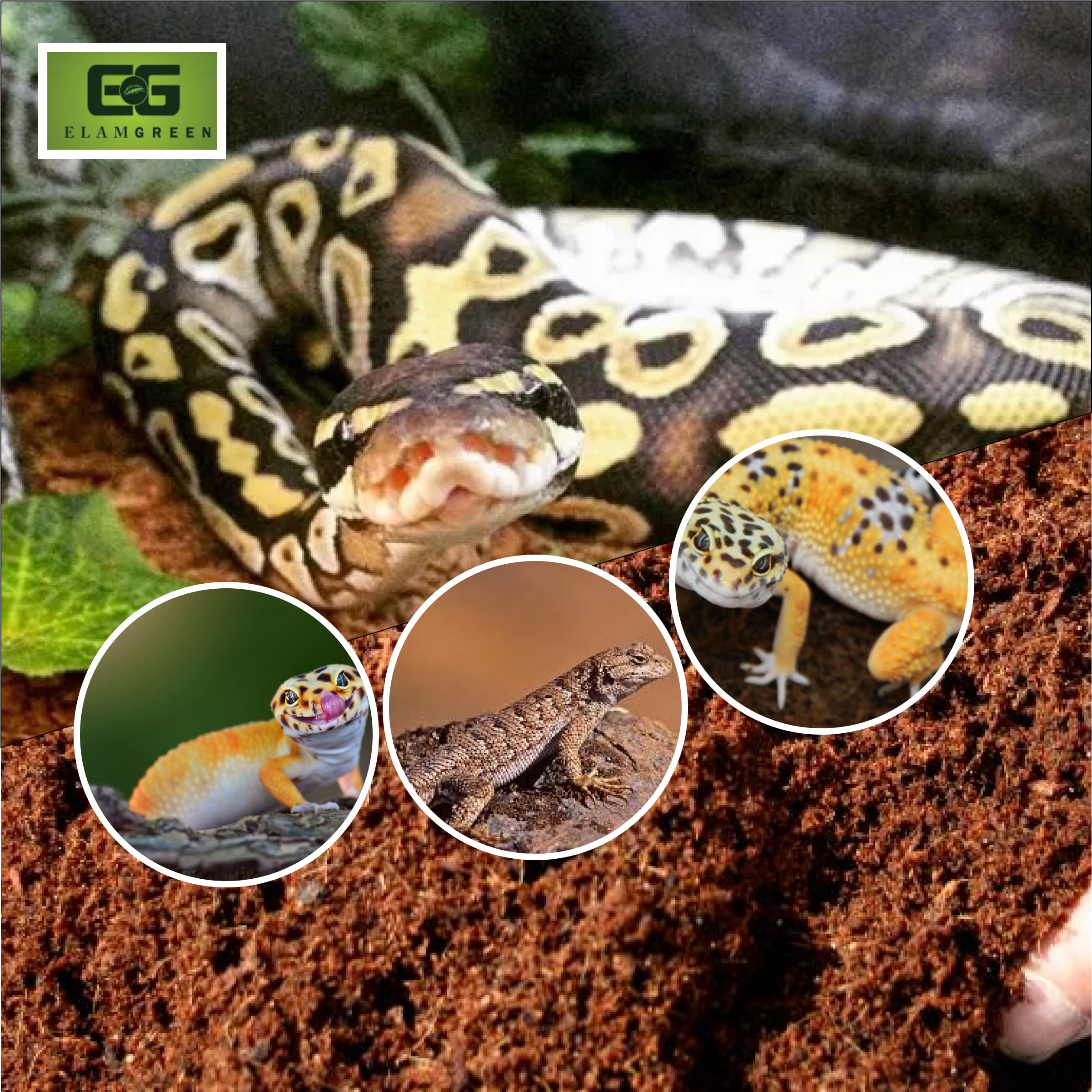 Elamgreen Coco peat Block for Animal Bedding pet Products | Dogs, Cats Reptiles Snakes Chicken Birds (650 gram)