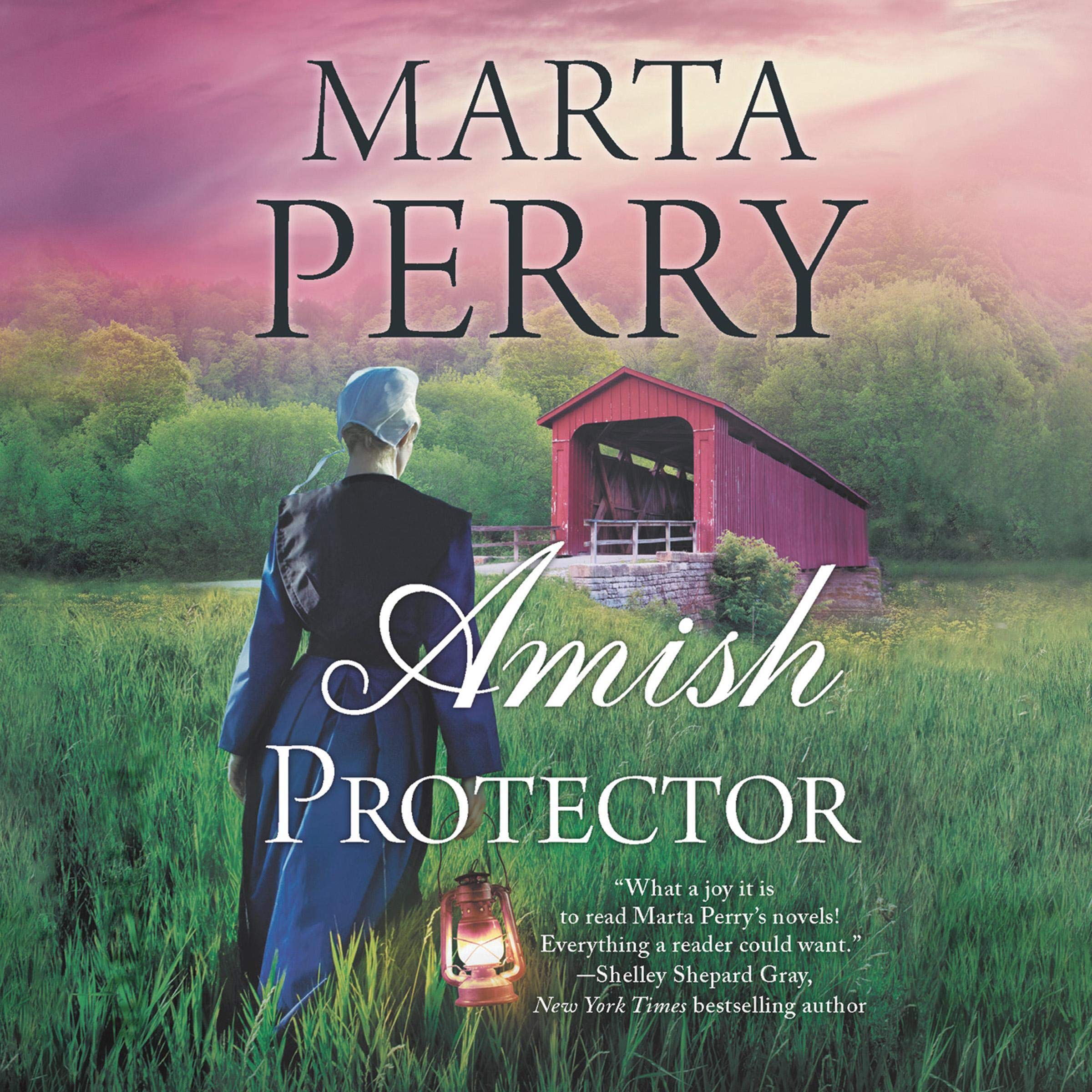 Cover art for Amish Protector