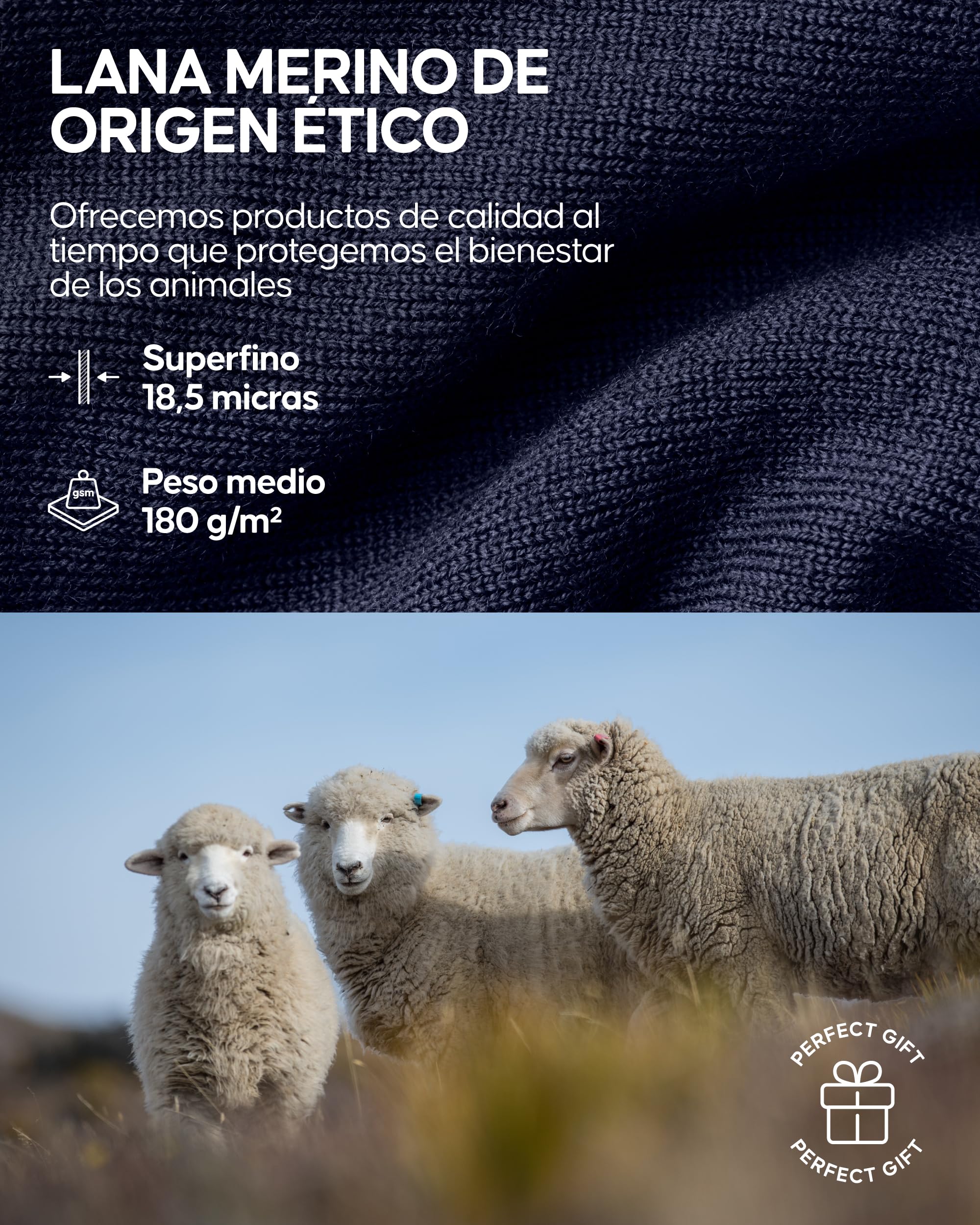 DANISH ENDURANCE Conjunto Térmico Lana Merino Mujer, Camiseta Térmica y Pantalón, Ropa Interior Lana Merino