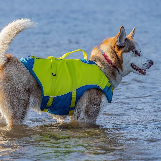 Foto 5 de 6 de Kurgo Surf n' Turf Chaleco Salvavidas para Perros, Chaleco Salvavidas para Nadar