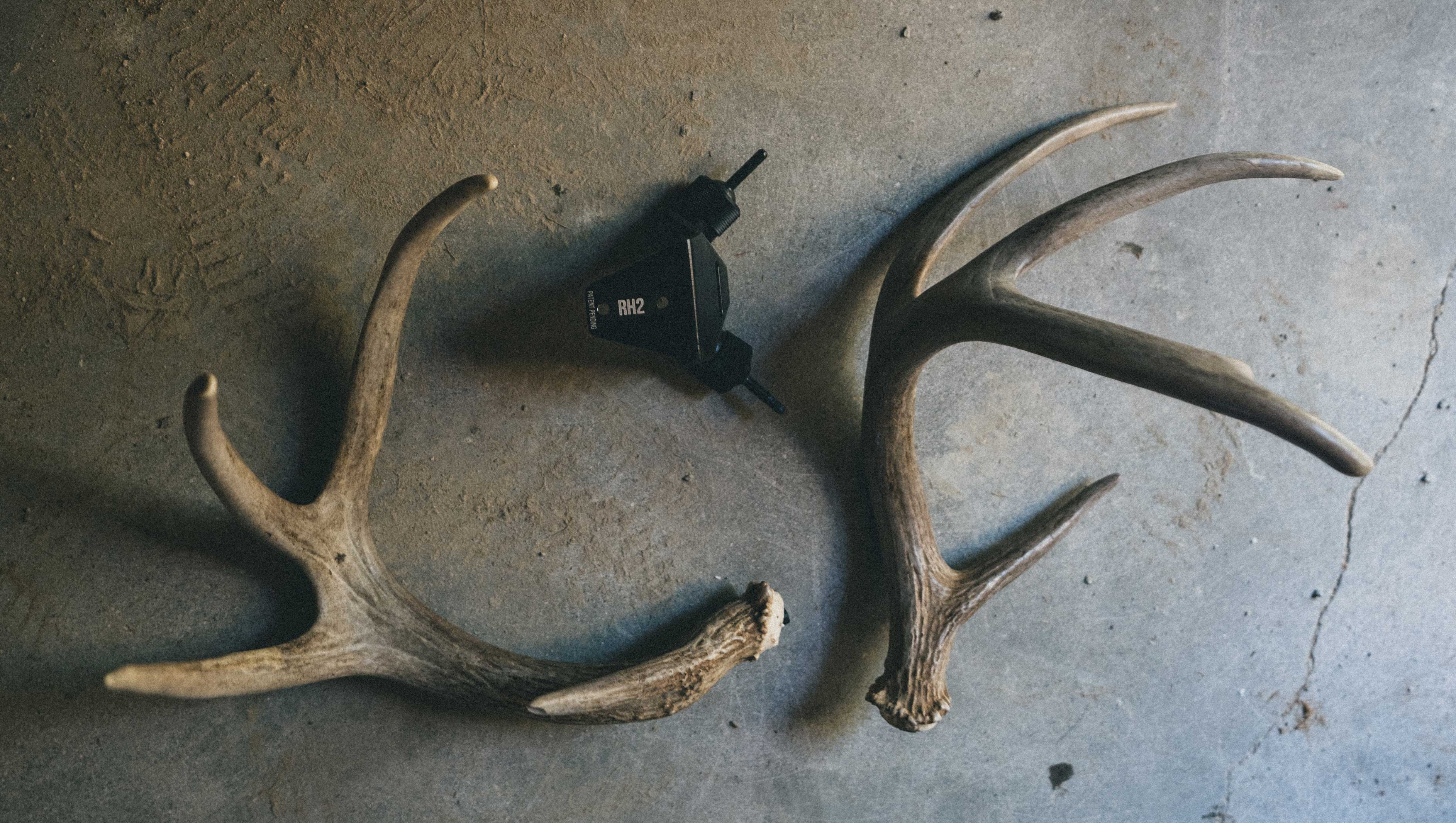 Antler PhotoGrid_1520535292017_cb3364