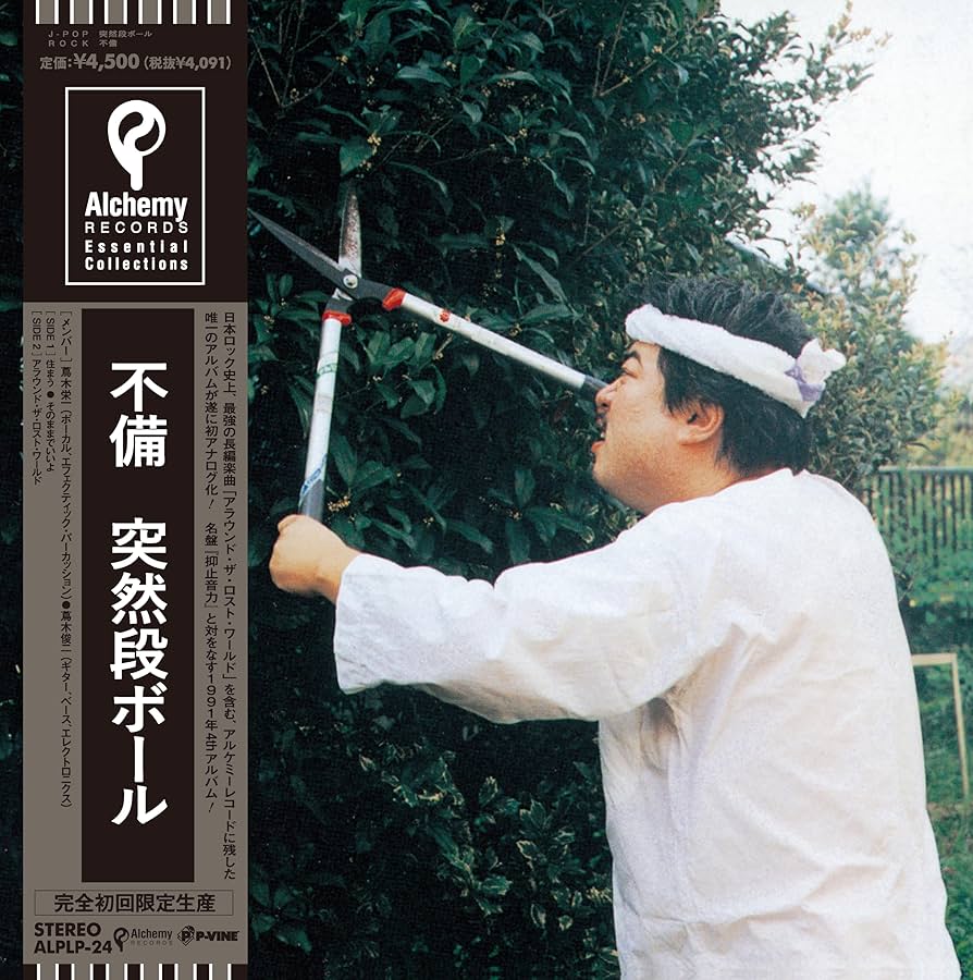 Amazon.co.jp: 不備 [初回完全限定生産][帯付き] - 突然段ボール