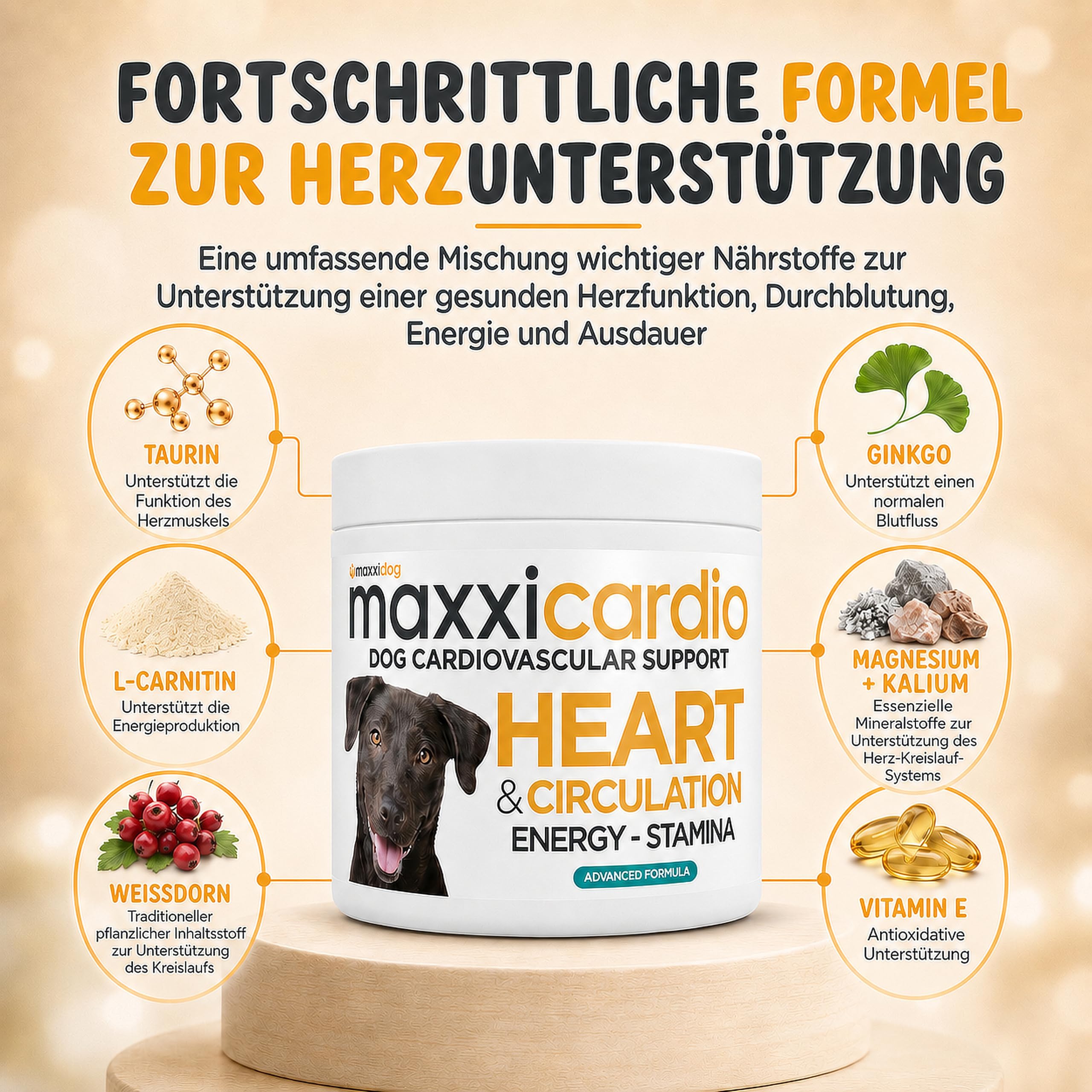 maxxipaws maxxicardio Herz- und Kreislauf Ergänzungsfuttermittel in Pulverform für Hunde, 90 g