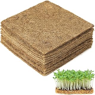 Hemp Seeds For Planting Picks collage image 4