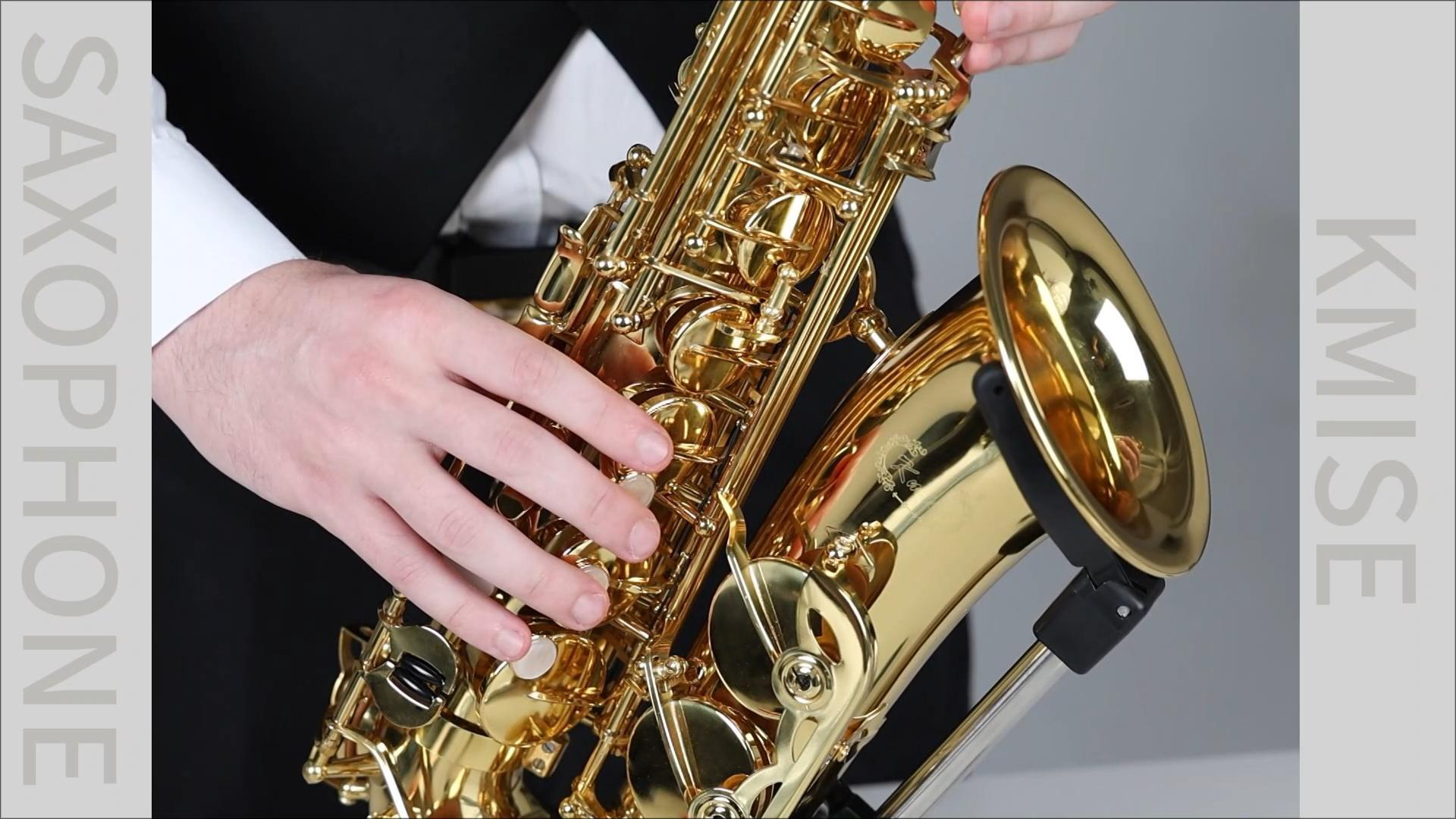 Amazon.com: Kmise E Flat Alto Saxophone, Lightweight Saxophones