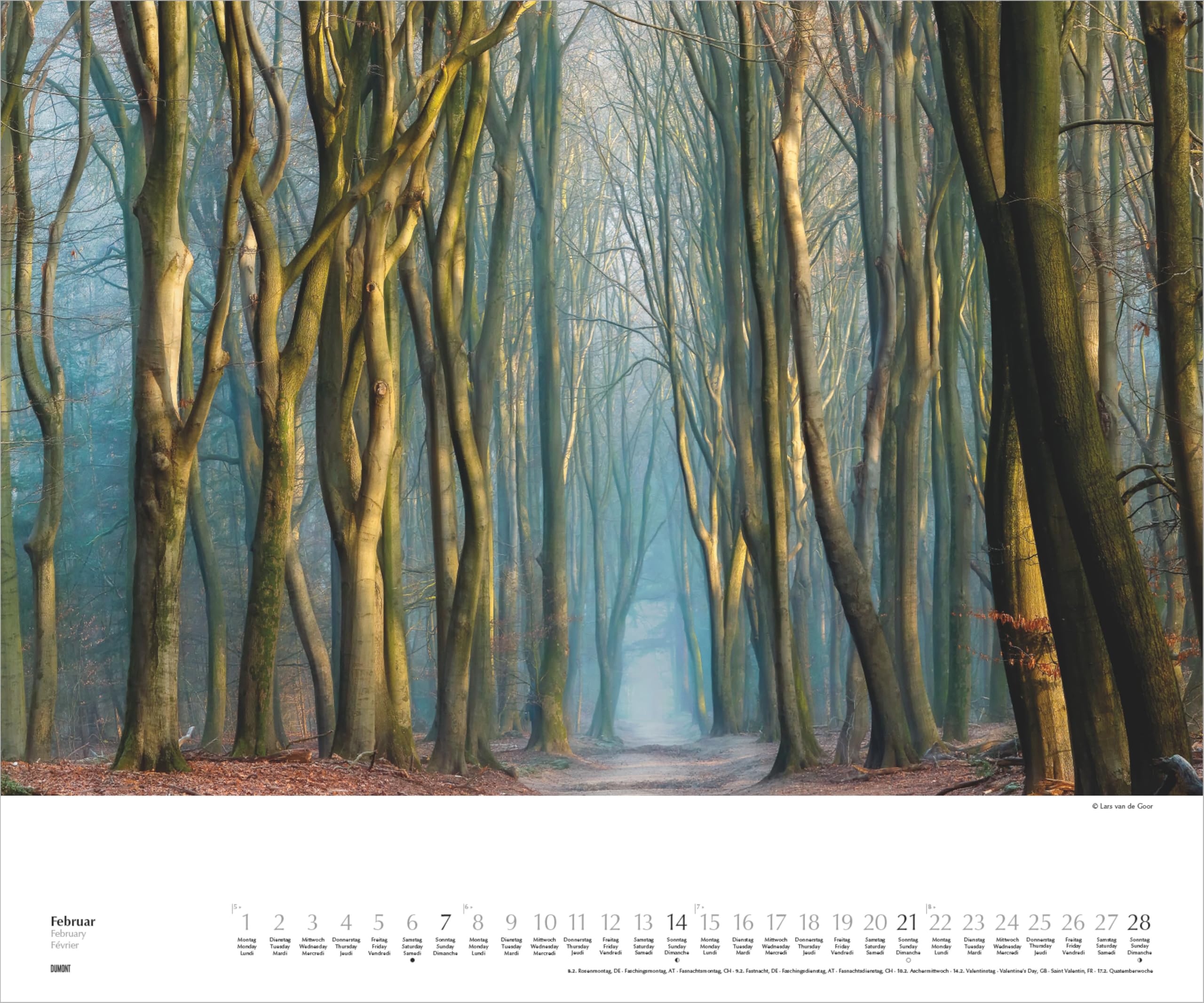 Waldspaziergang 2027: Wandkalender 60x50 cm mit Naturfotografie von Lars van de Goor und 3-sprachigem Kalendarium | Wandkalender 60x50 cm mit Naturfotografie von Lars van de Goor und 3-sprachigem Kalendarium