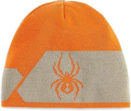 希少 スパイダー リバーシブル ビーニー ニット帽 spyder スキー