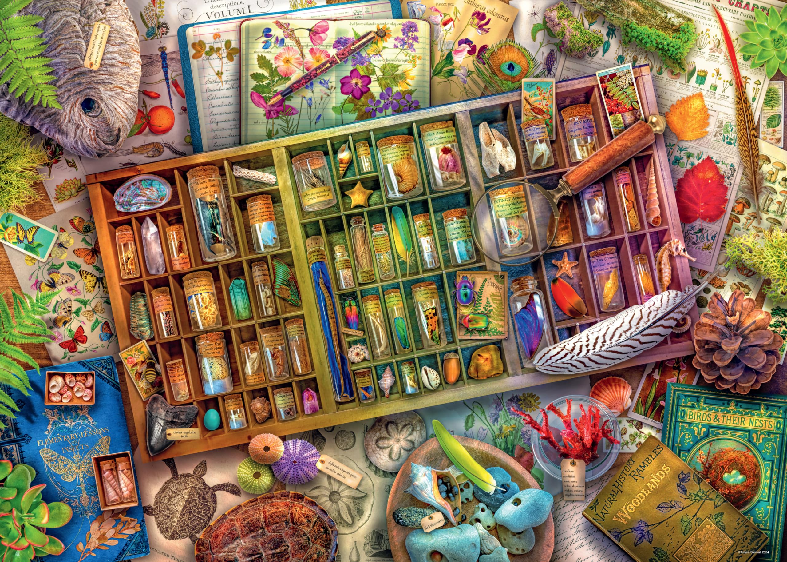 Ravensburger Women's The Natural World 1000 Piece Jigsaw Puzzle