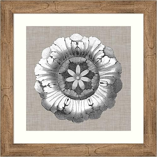 Amanti Art Impresión artística enmarcada para pared, detalle de roseta neutra II de Vision Studio, arte abstracto de pared, decoración vintage,