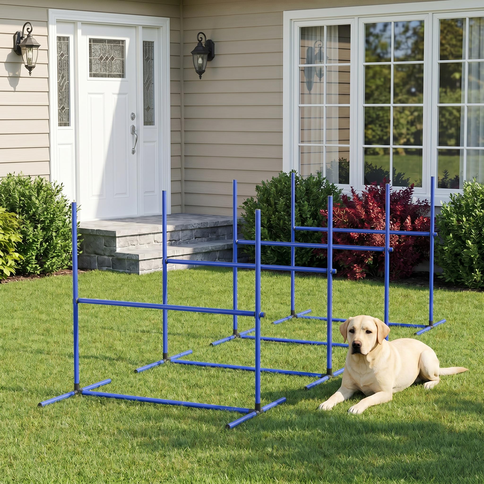 Hunde Agility Training Set 4 Hürden, verstellbar inkl. Tasche, Blau für Garten und Hundeplatz