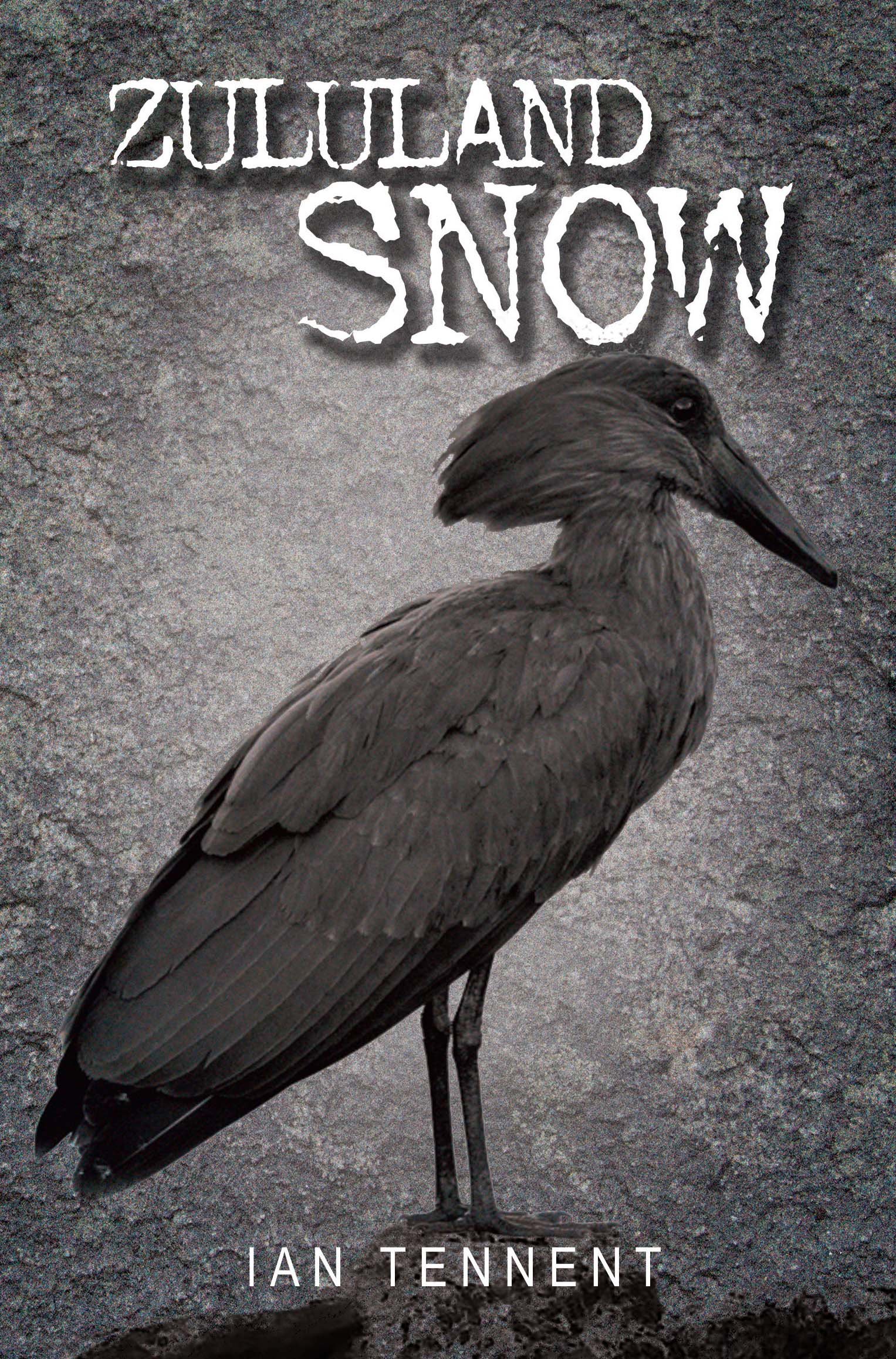 Zululand Snow: A coming of age historical mystery (The Cruikshank Chronicles Book 1)