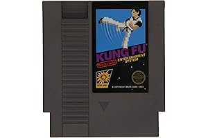 Kung Fu NES