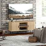 HOMCOM TV Table Stand for TVs up to 55 Inches, TV Stand with Storage Shelves and Cabinets for Living Room, Oak Tone