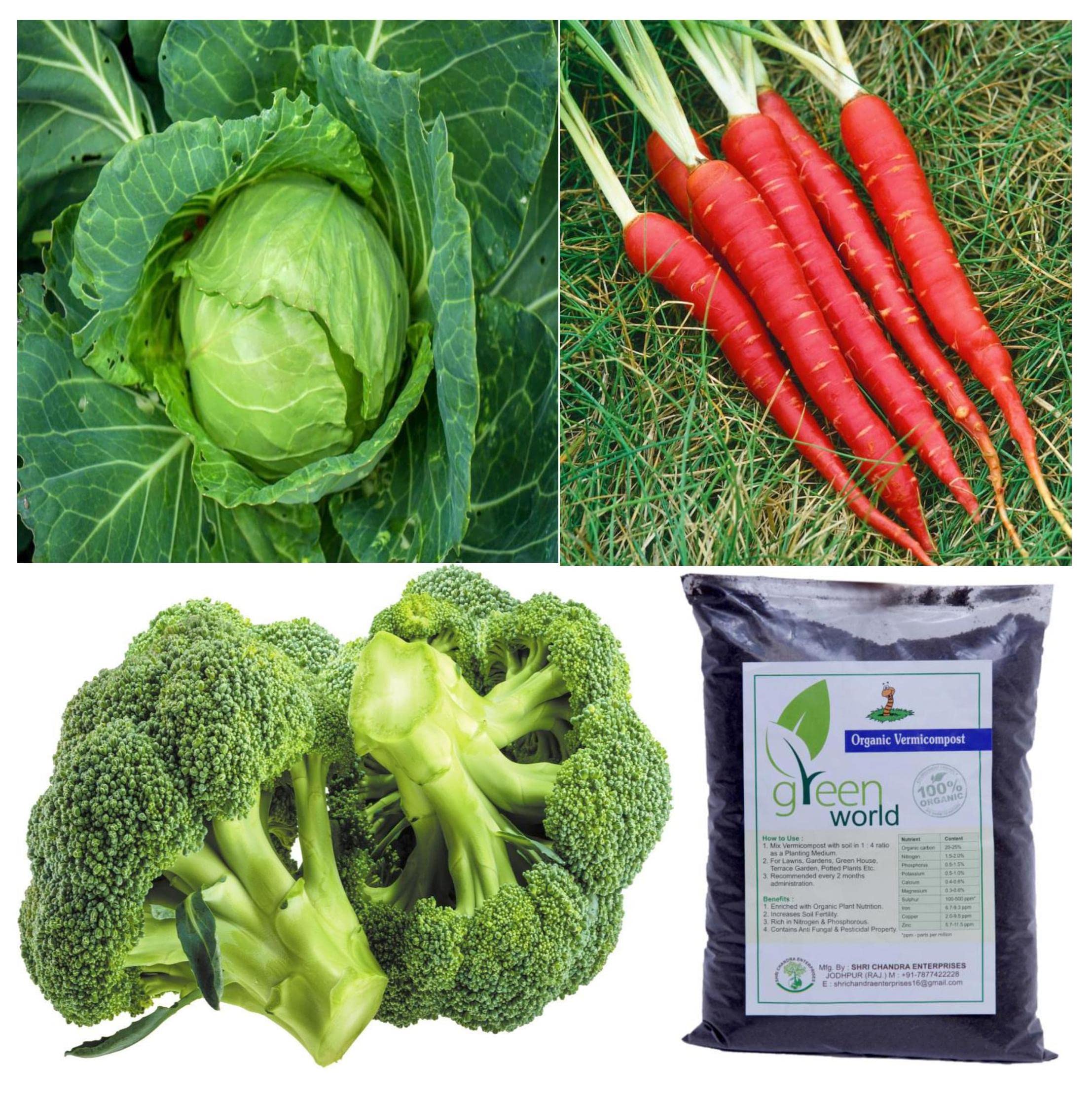 Green World Combo Pack Offer (Broccoli + Cabbage + Red Carrot plant seeds) with vermicompost free (B09NGQQ2JD) Amazon Price History, Amazon Price Tracker